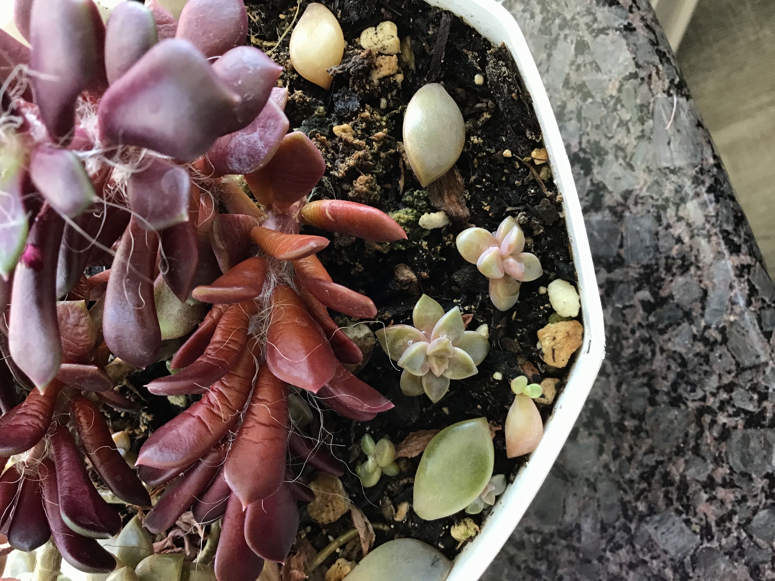 Photo from the post