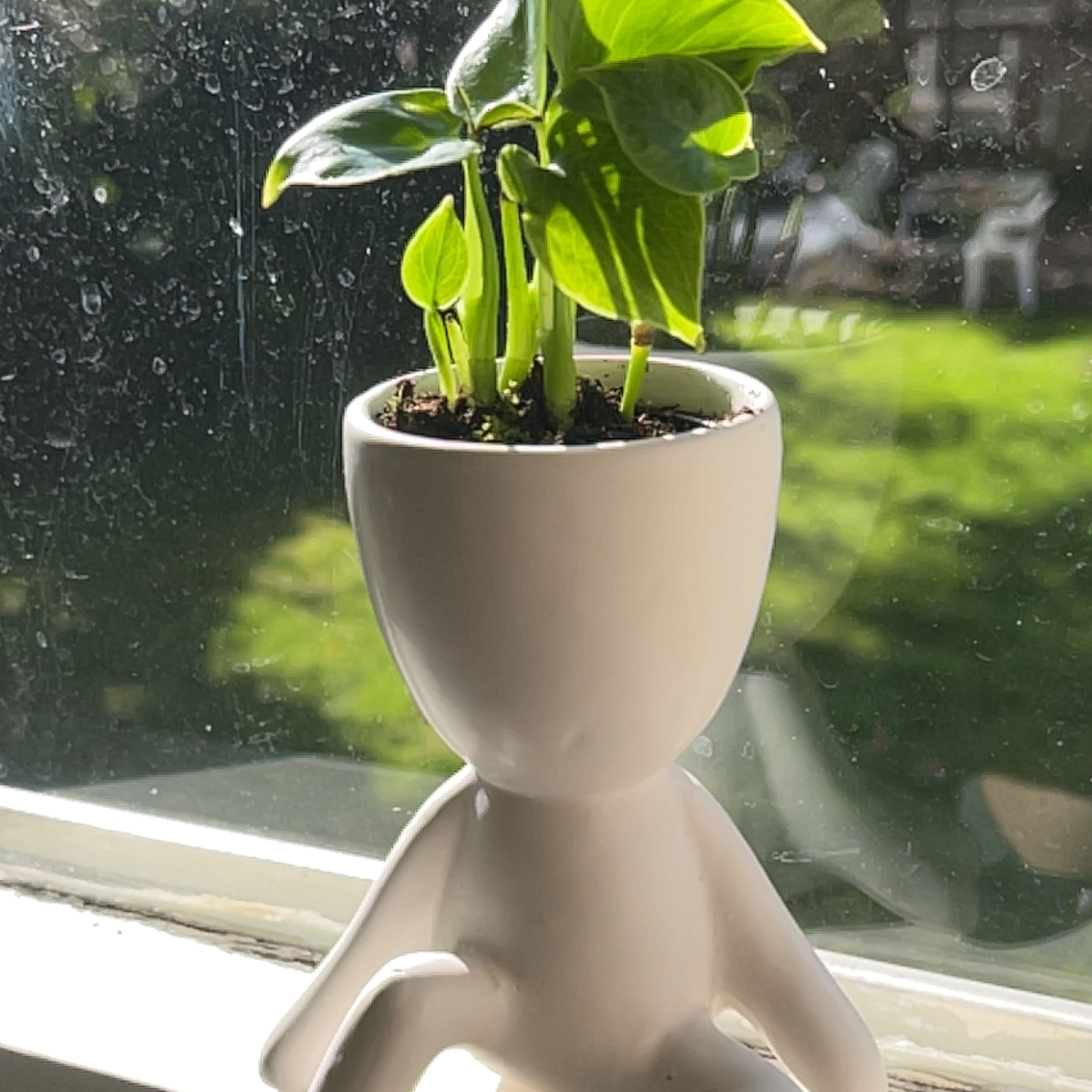 Neon Pothos plant in a white, human-shaped pot on a windowsill.