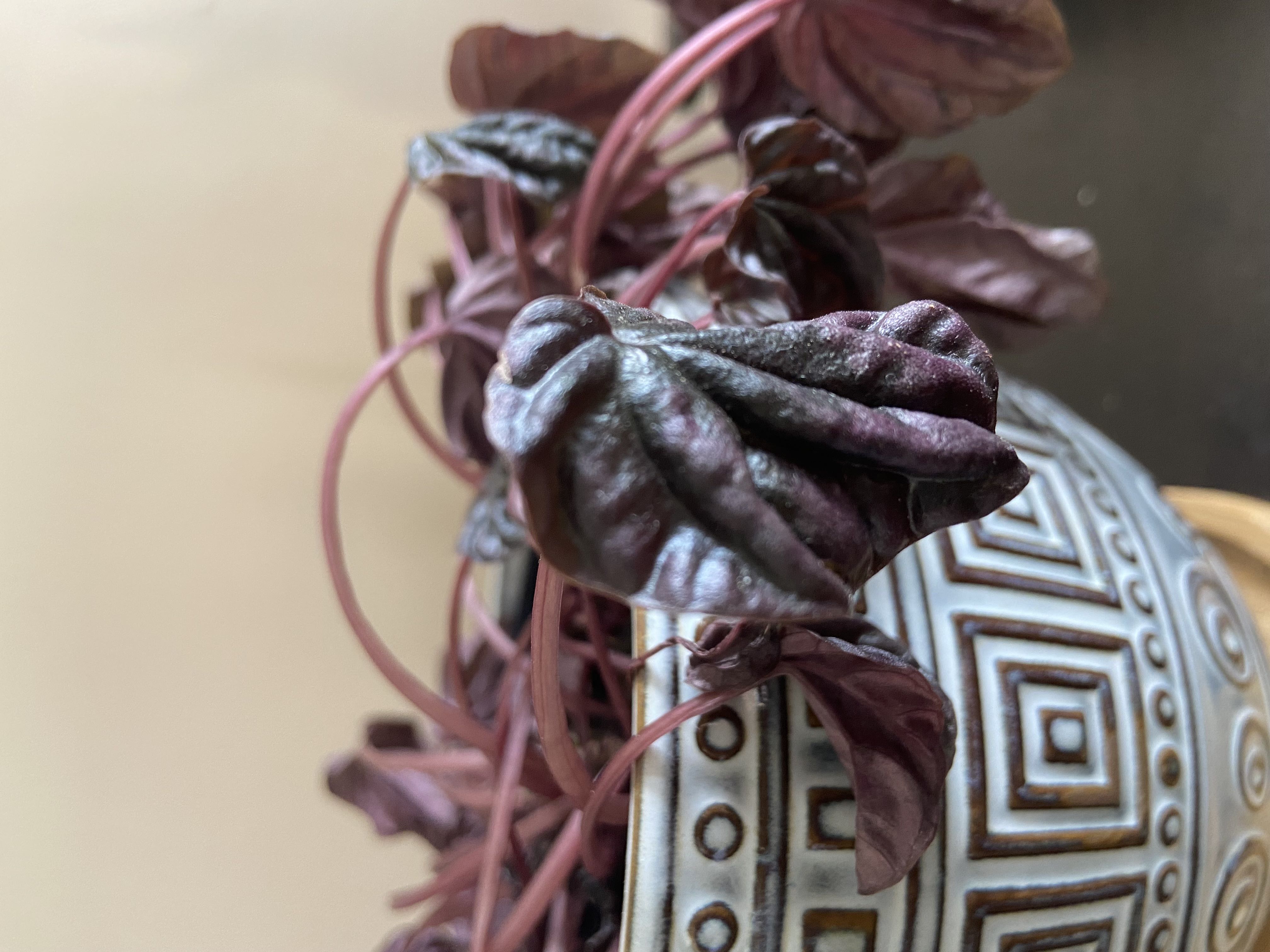 Photo from the post