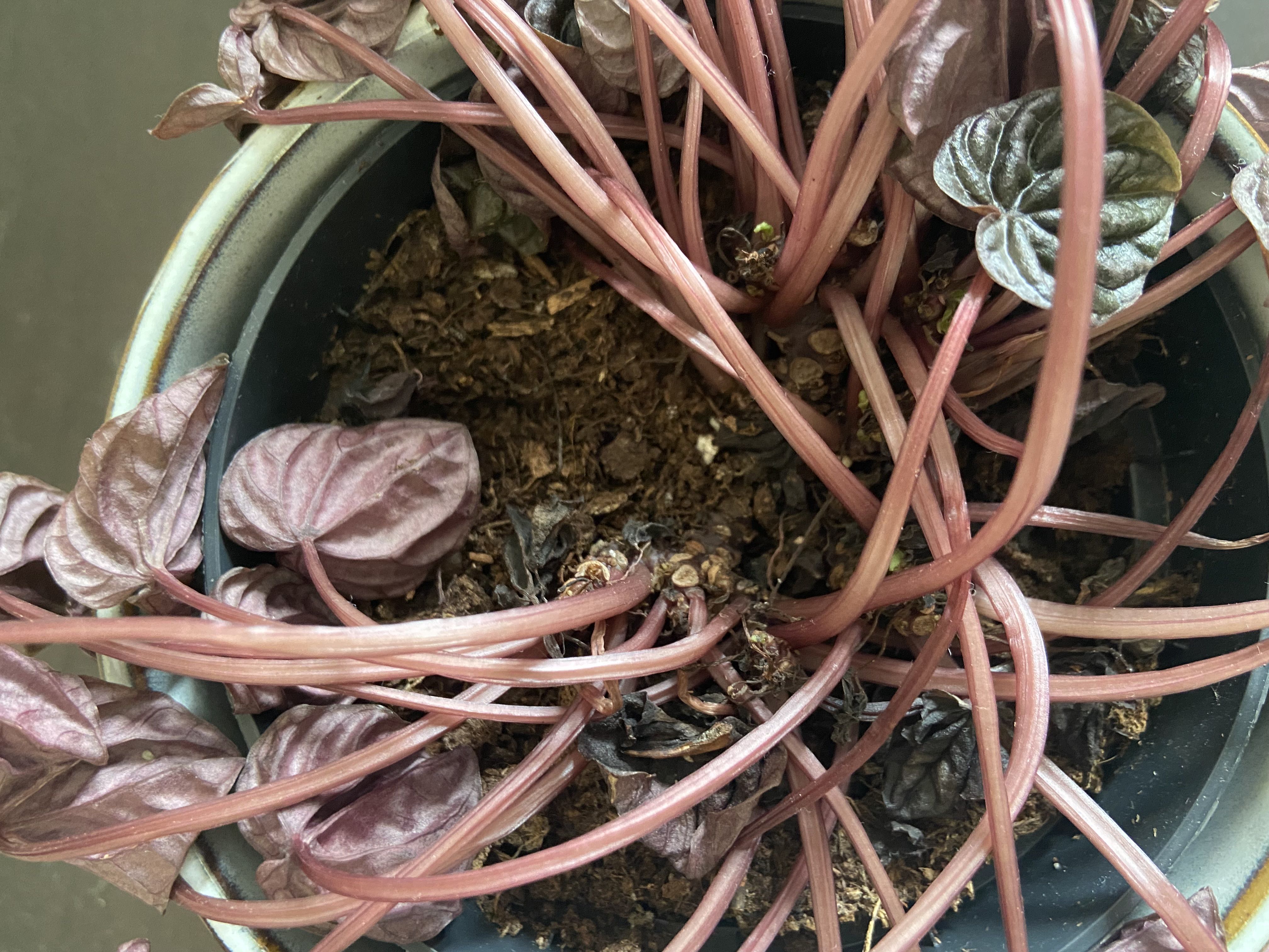 Photo from the post