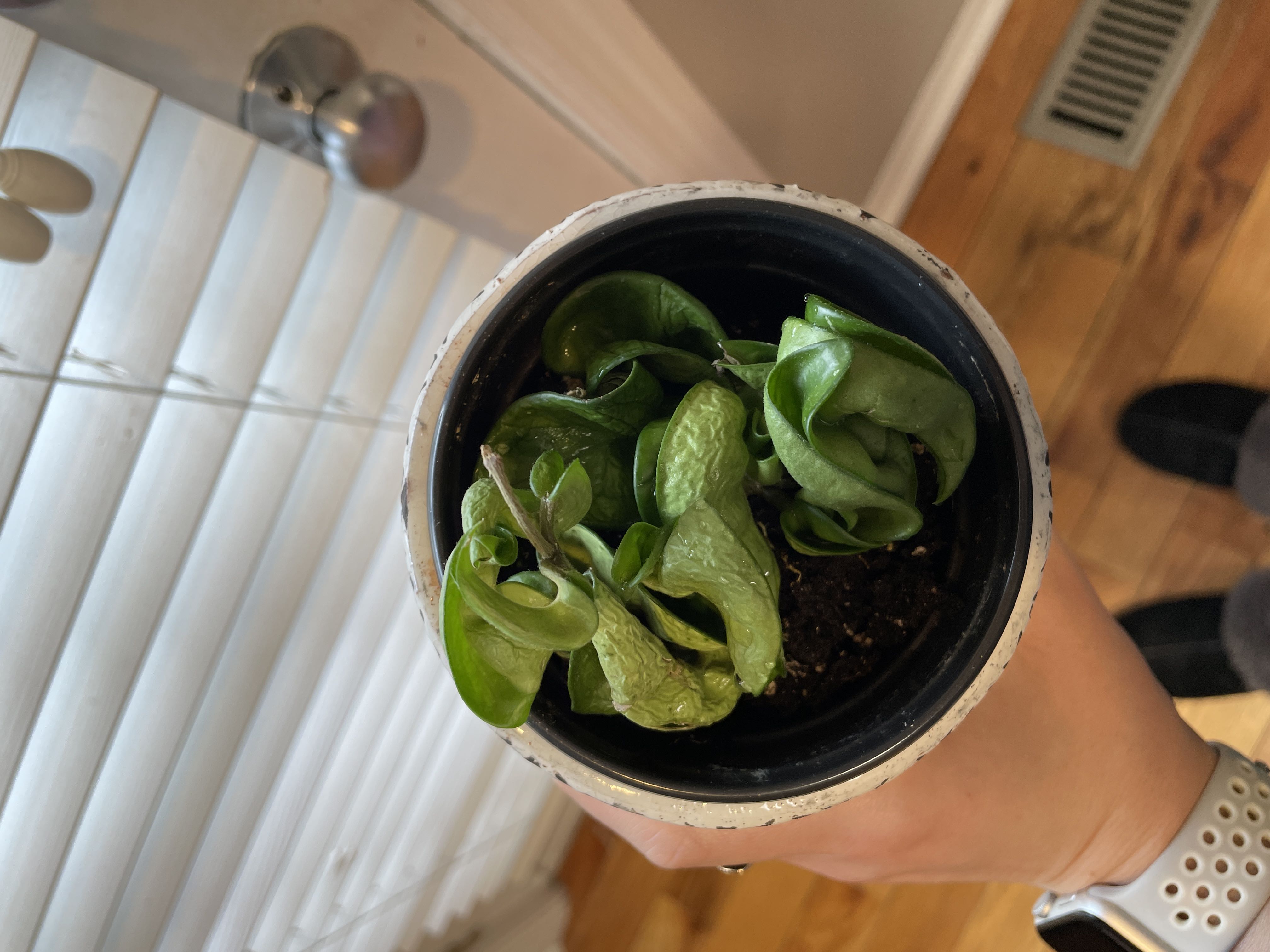 Photo from the post
