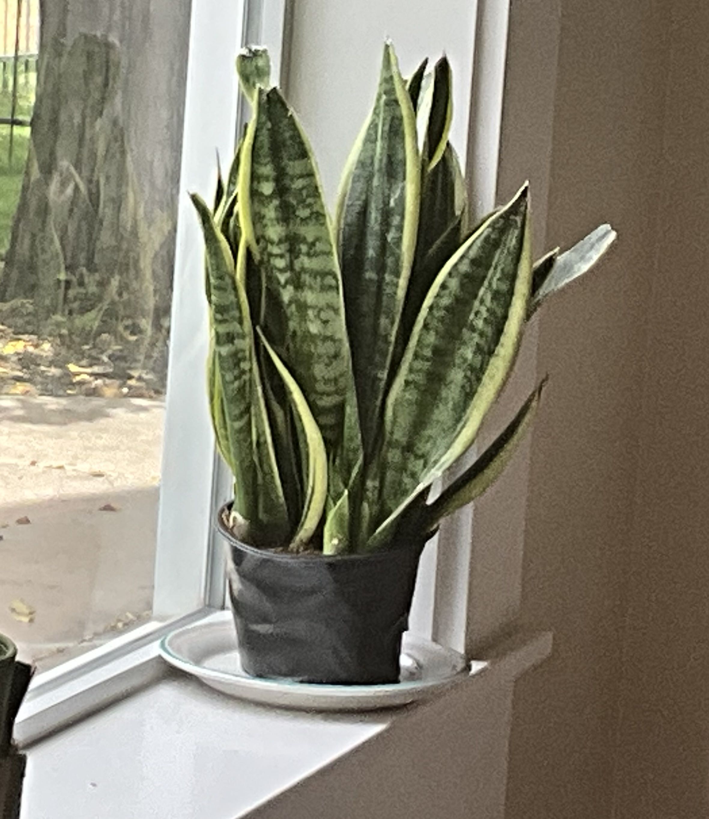 Photo from the post