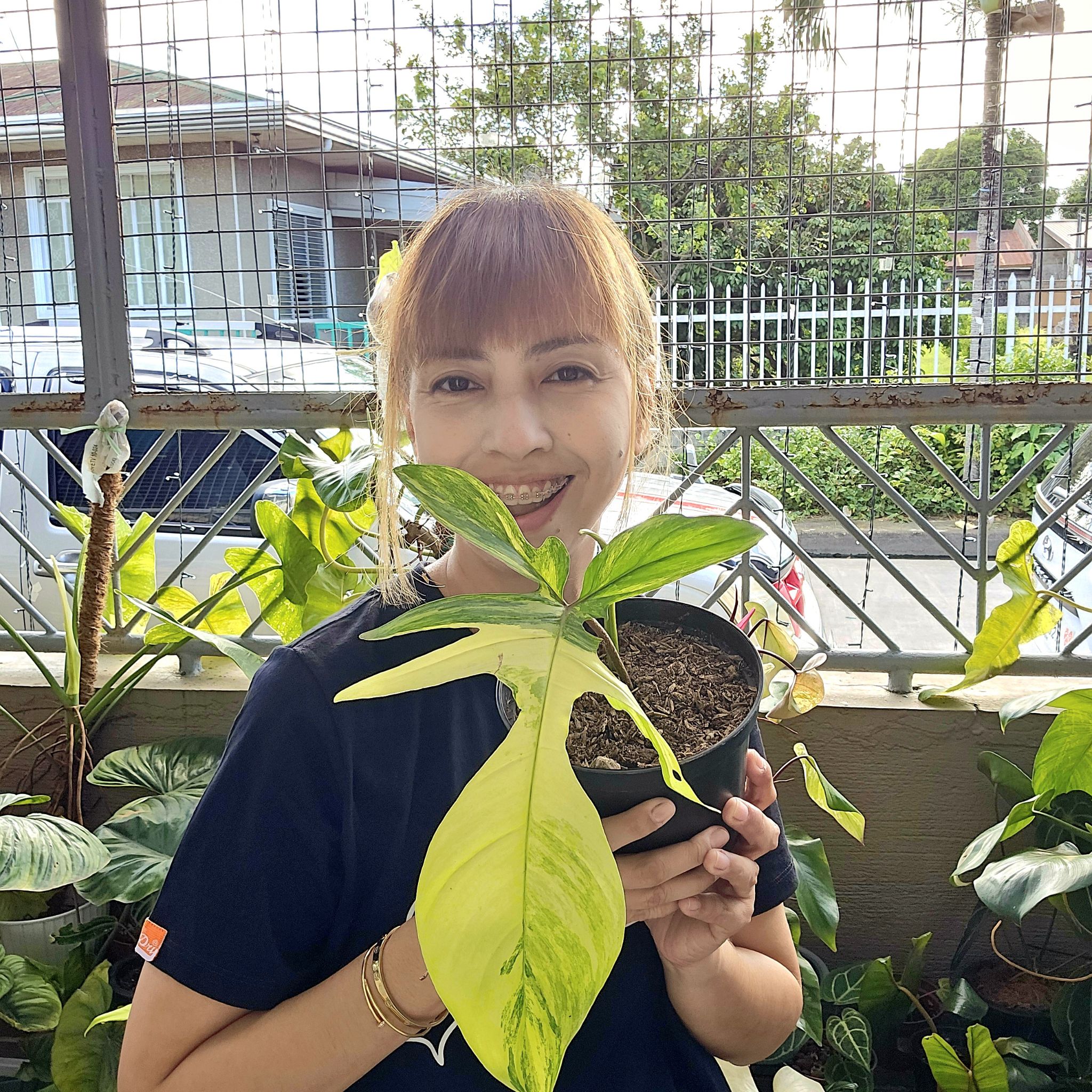 Philodendron 'Florida Beauty' plant being held, with visible soil and some yellowing on one leaf.