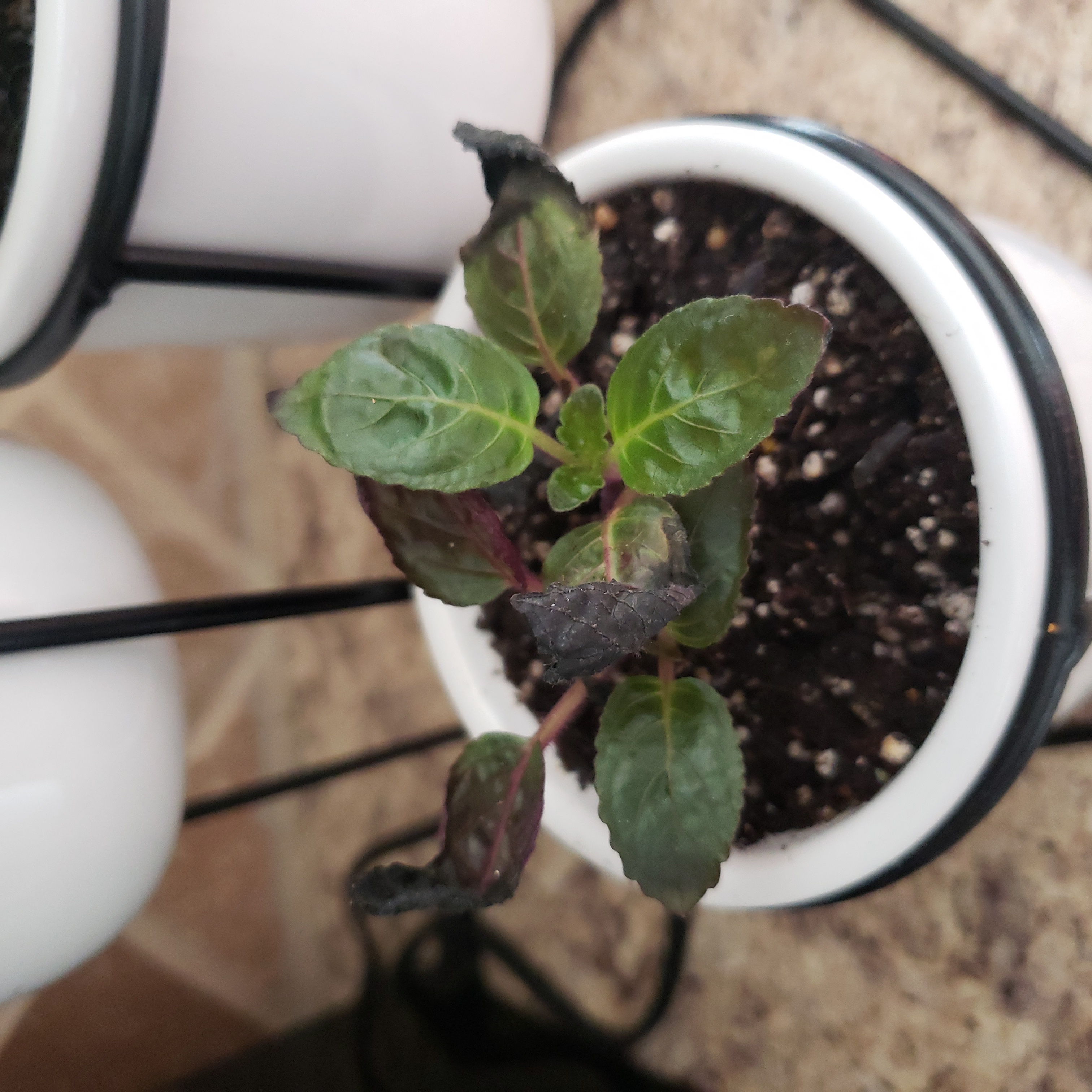 Photo from the post