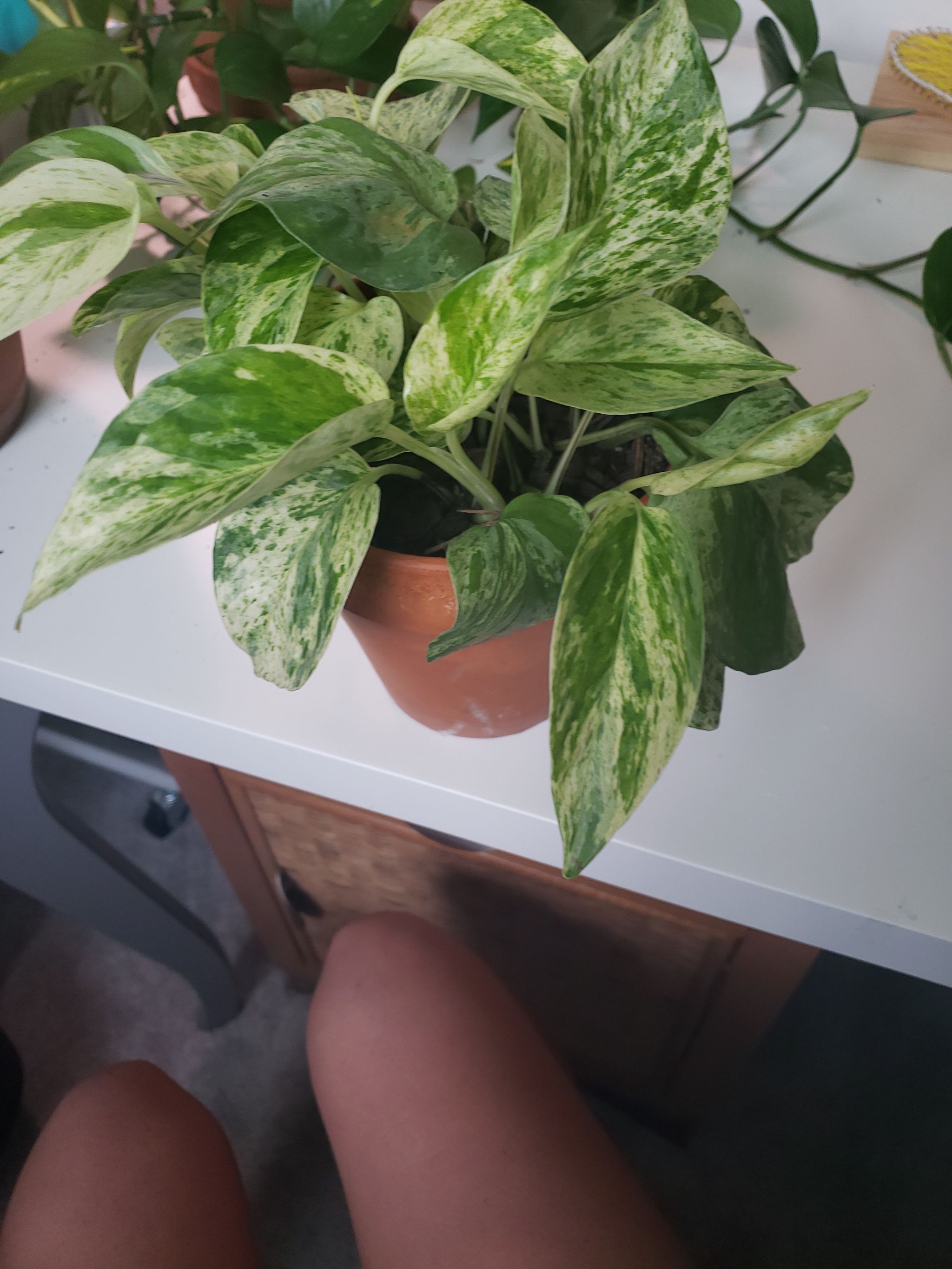 Photo from the post