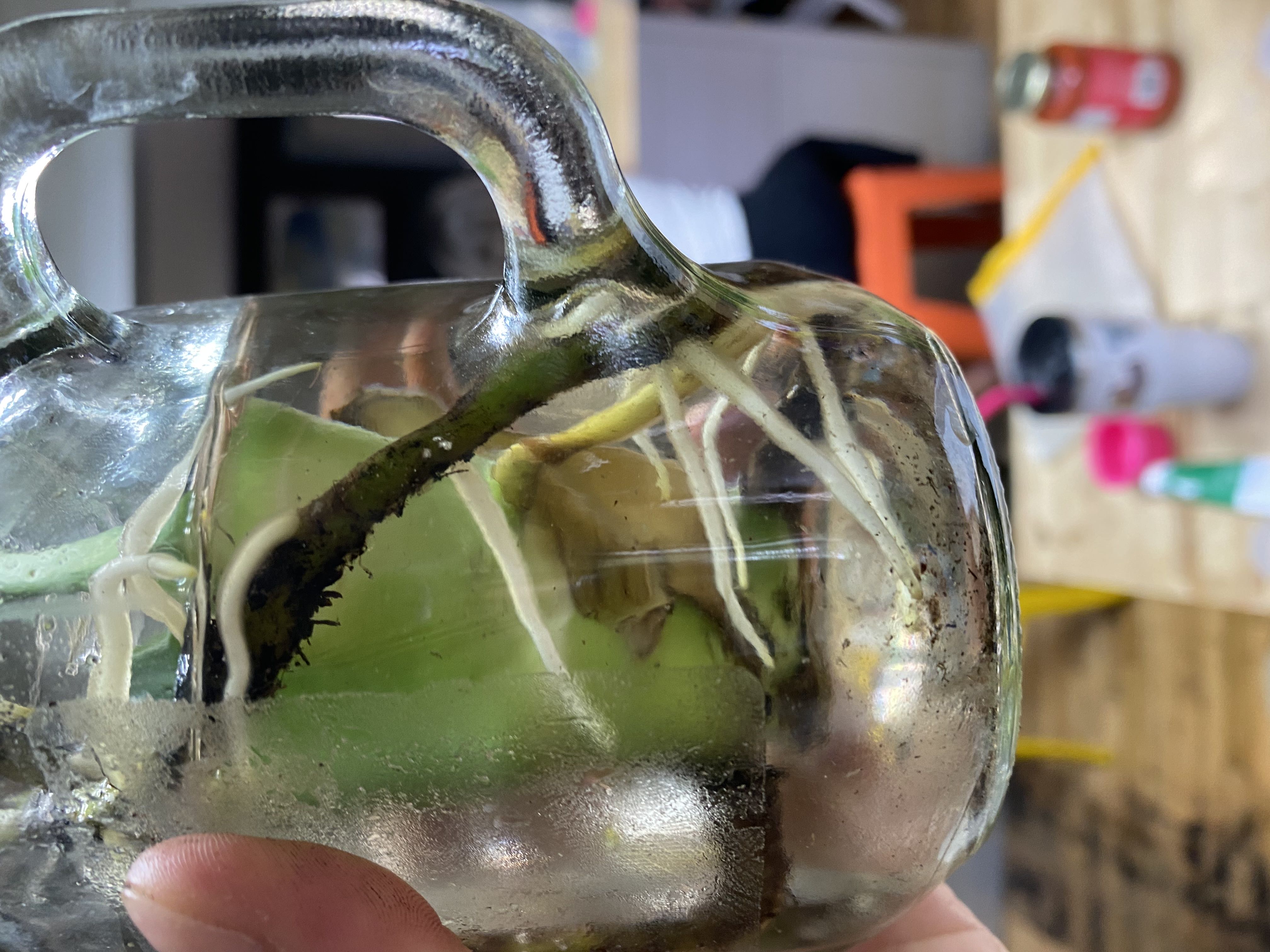 Photo from the post