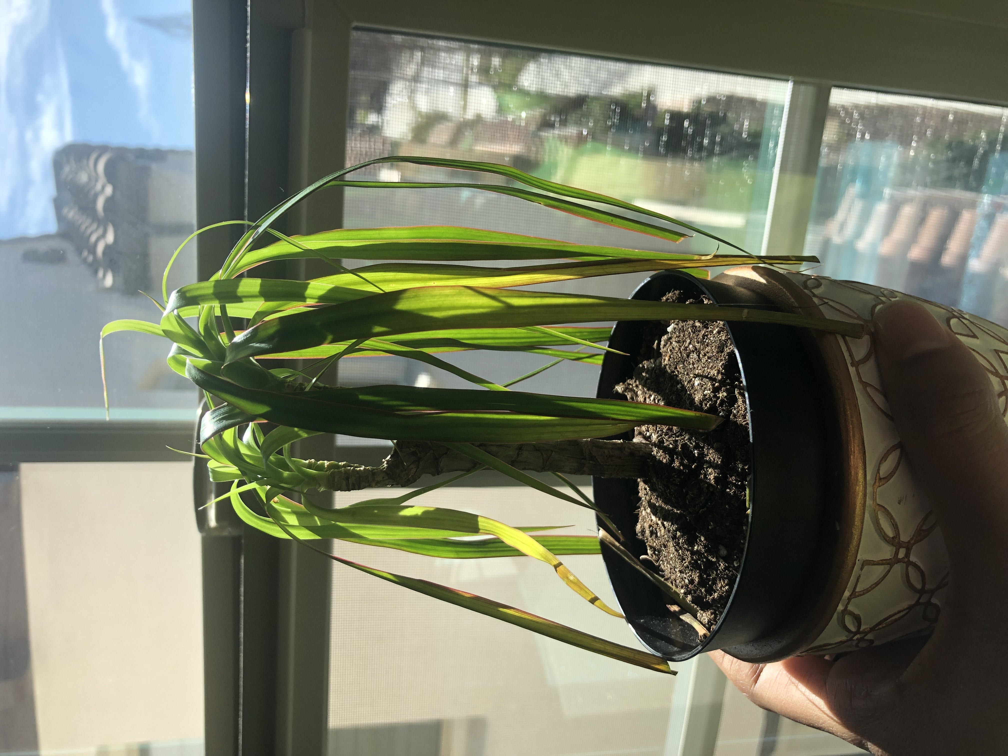 Photo from the post