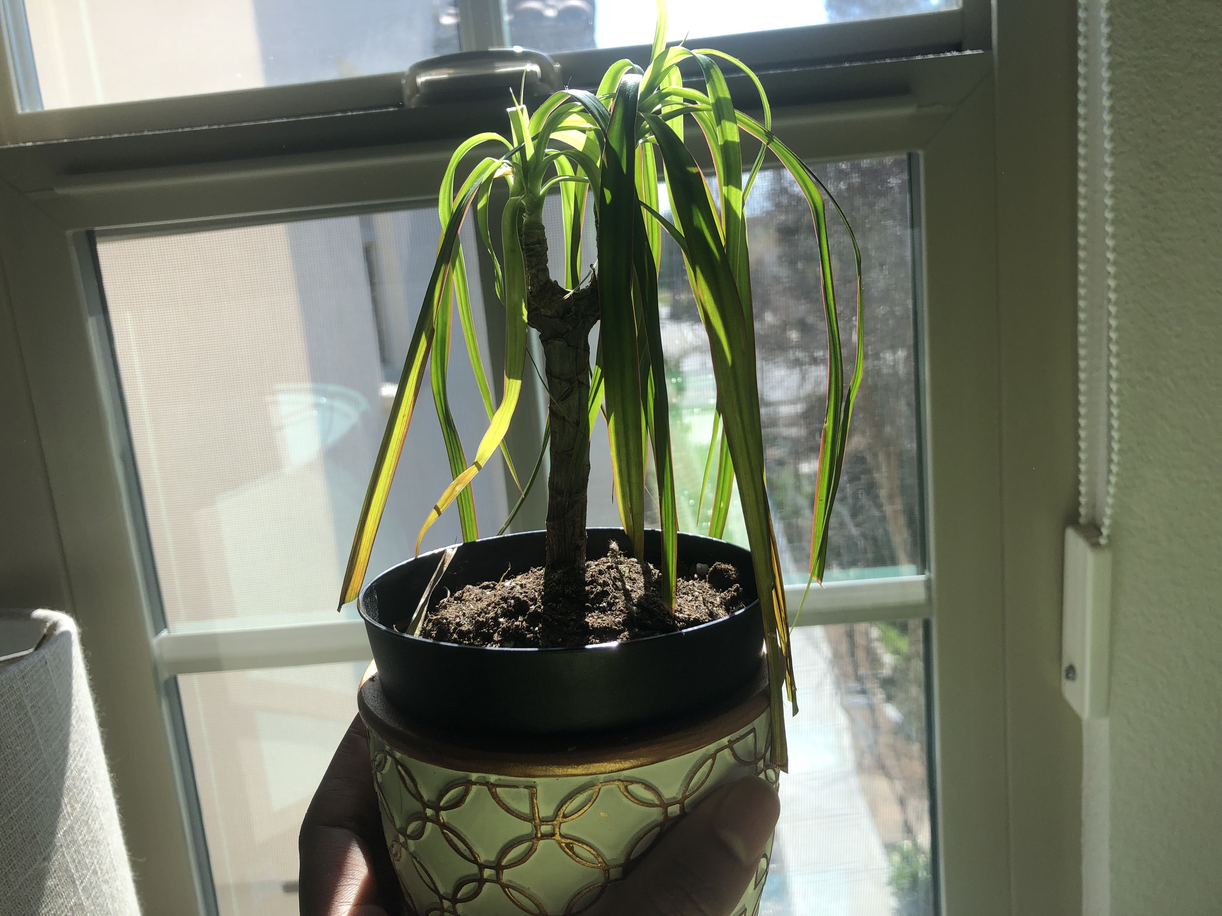 Photo from the post