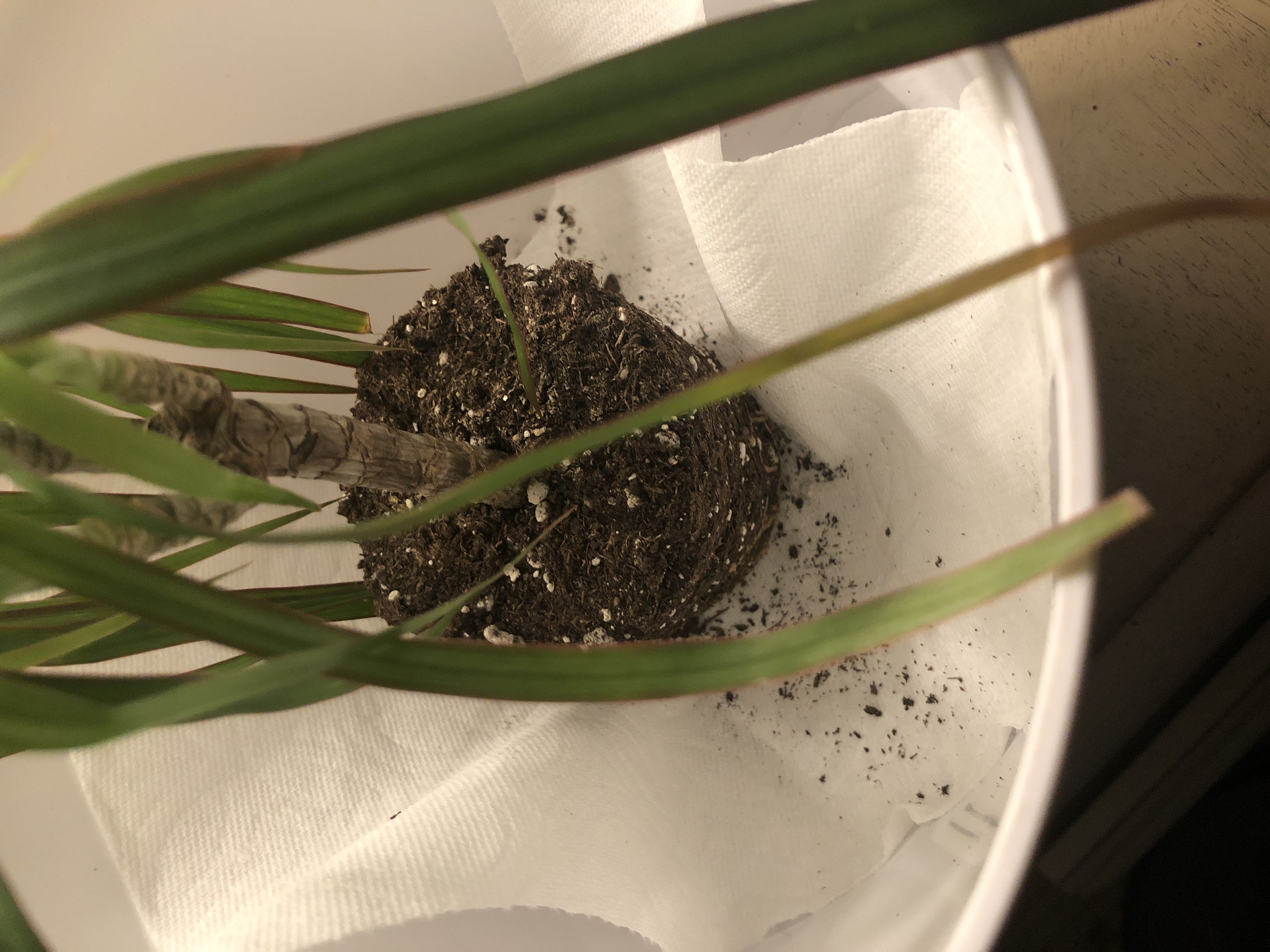 Photo from the post