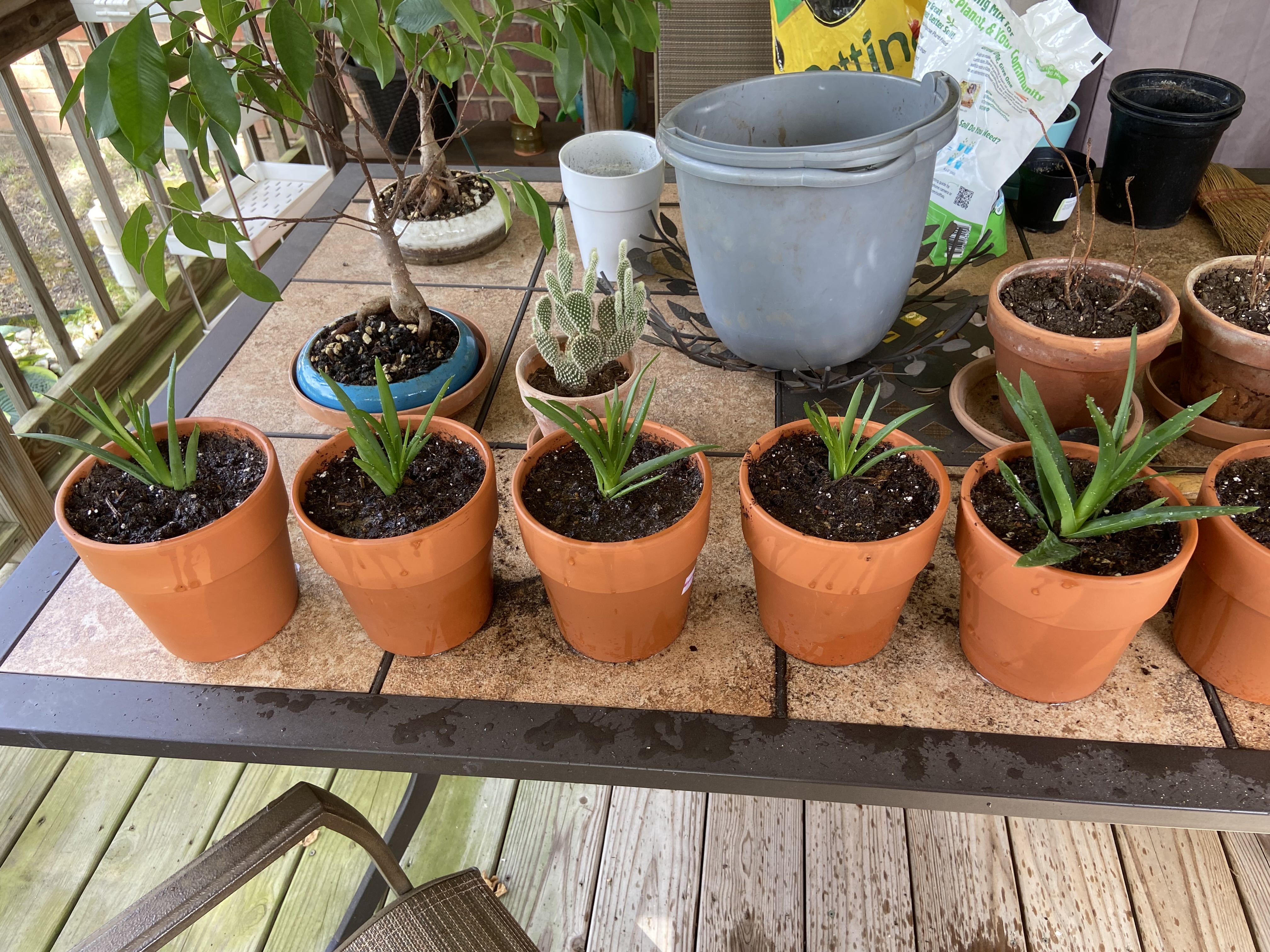 Photo from the post