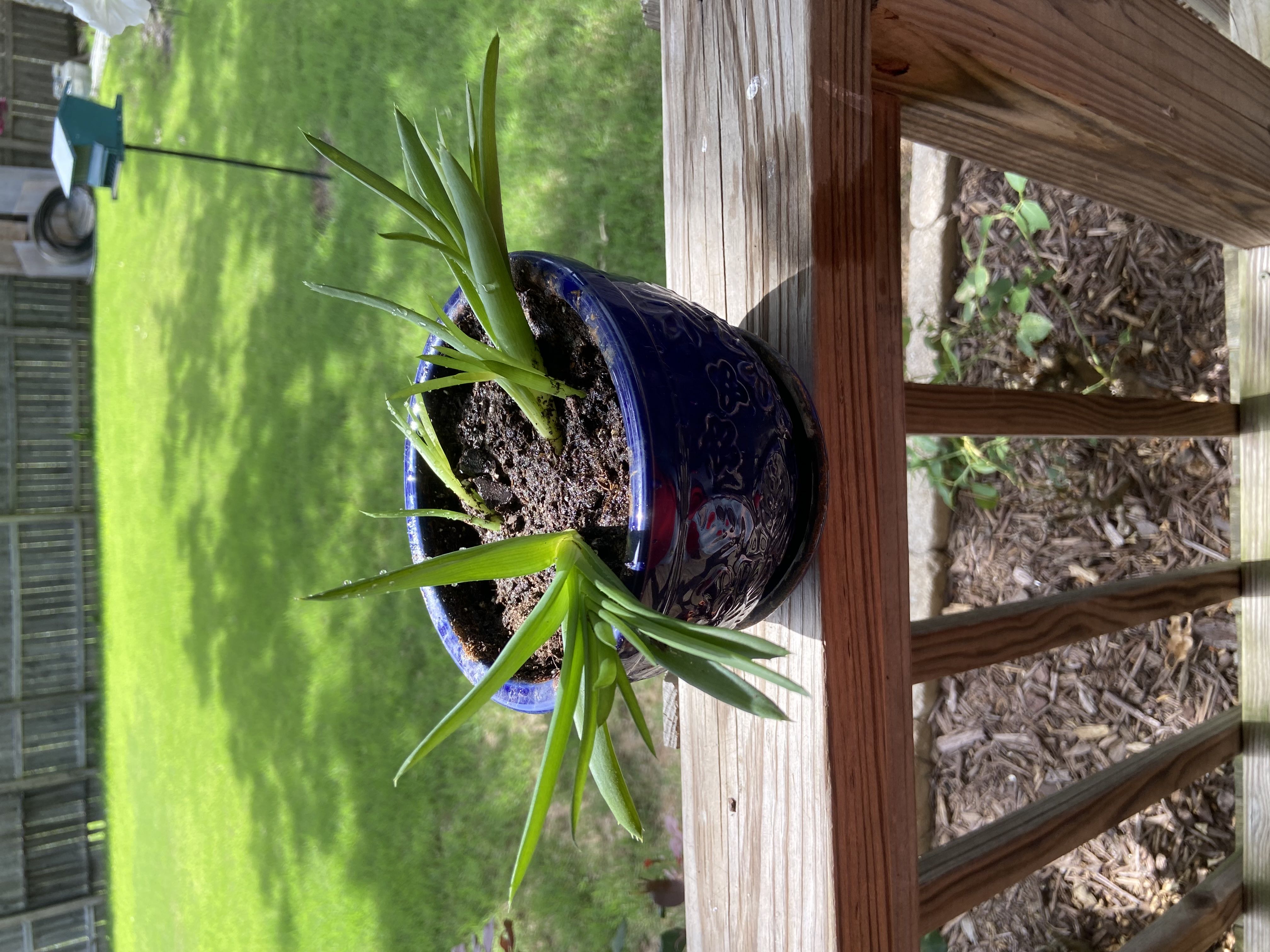 Photo from the post