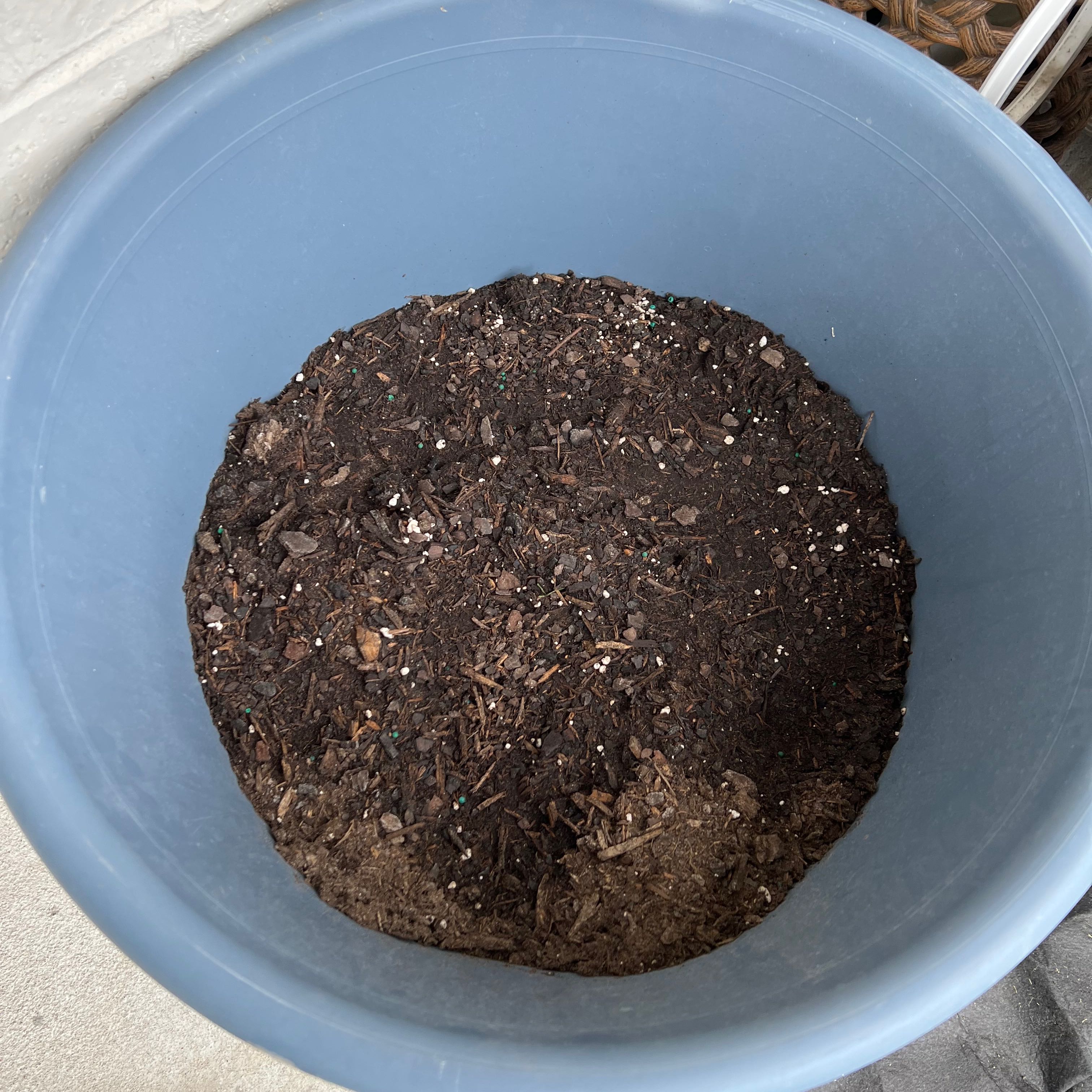 A blue plastic container filled with dark organic potting soil or compost, no plant visible