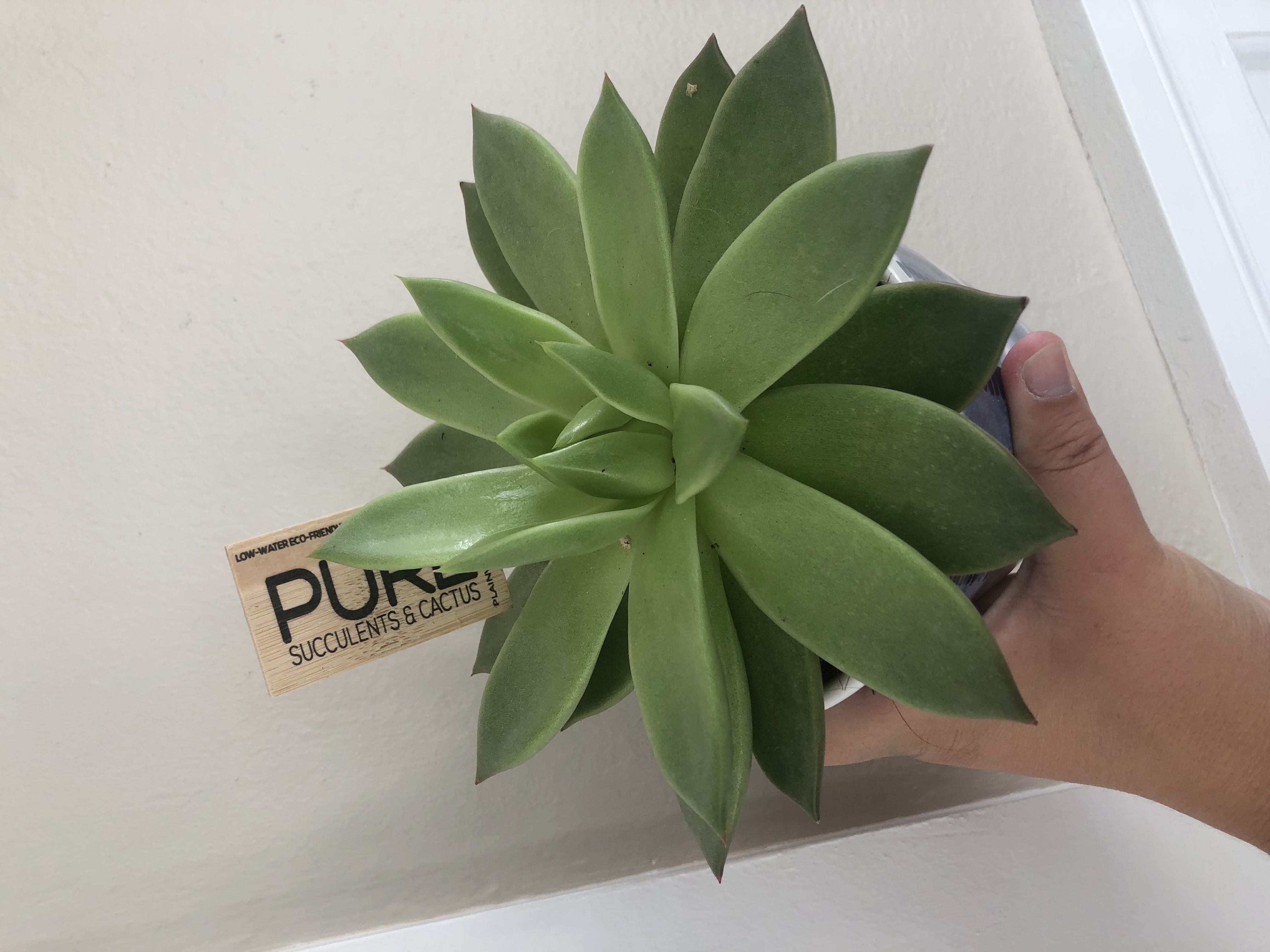 Photo from the post