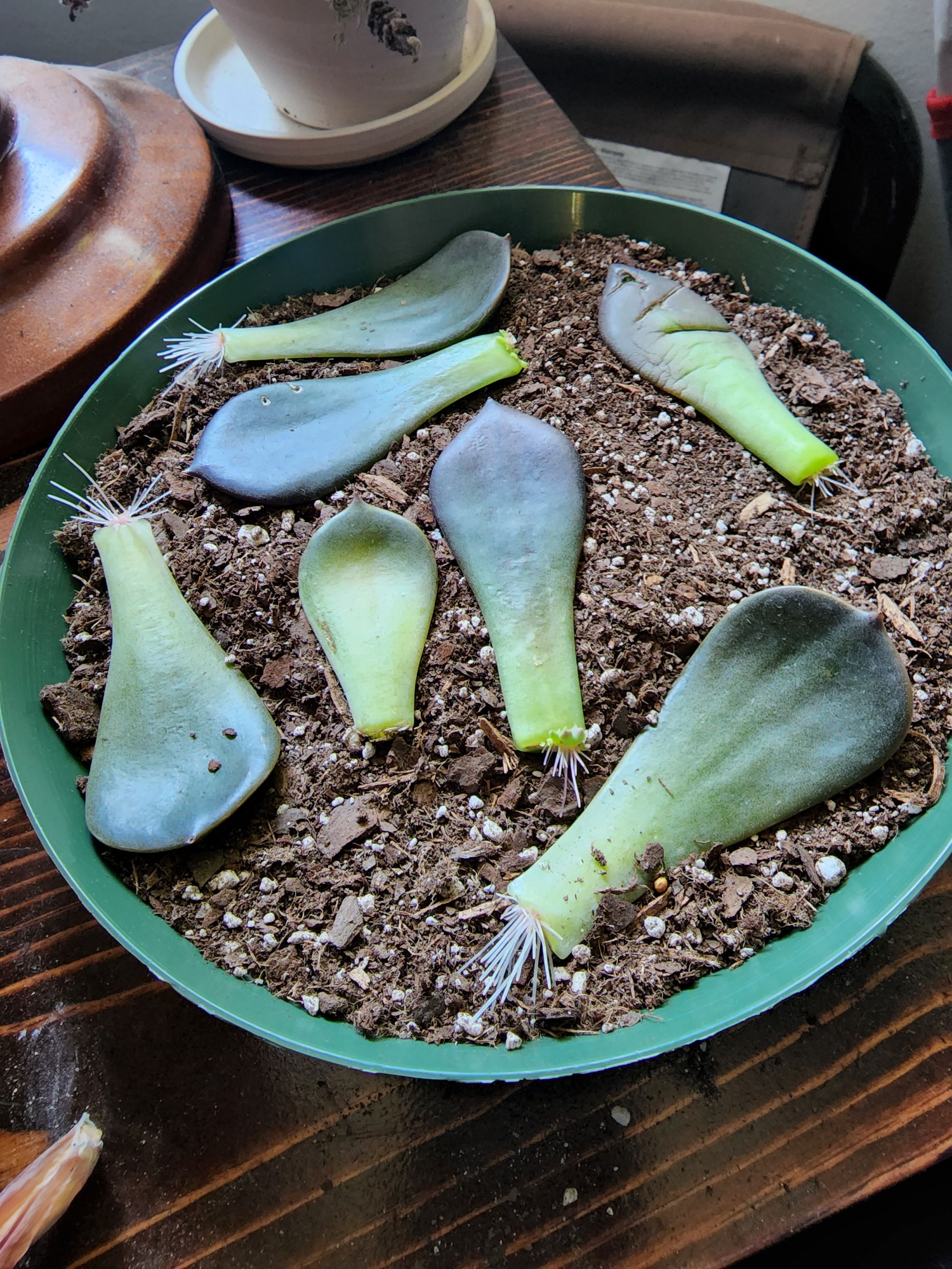 Photo from the post