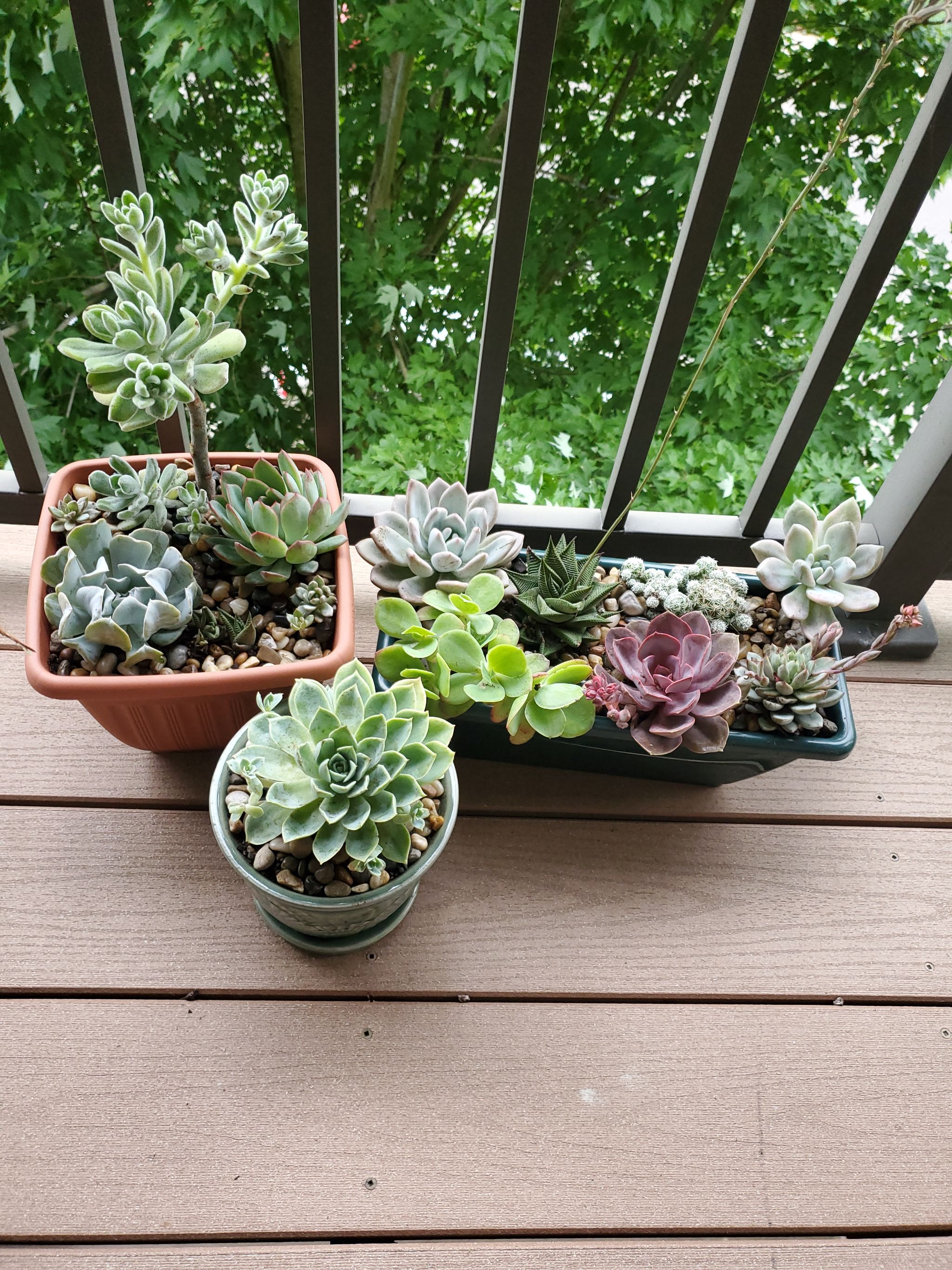 Photo from the post