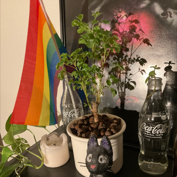 Ming Aralia plant photo by @honeyrabbit named hermione on Greg, the plant care app.