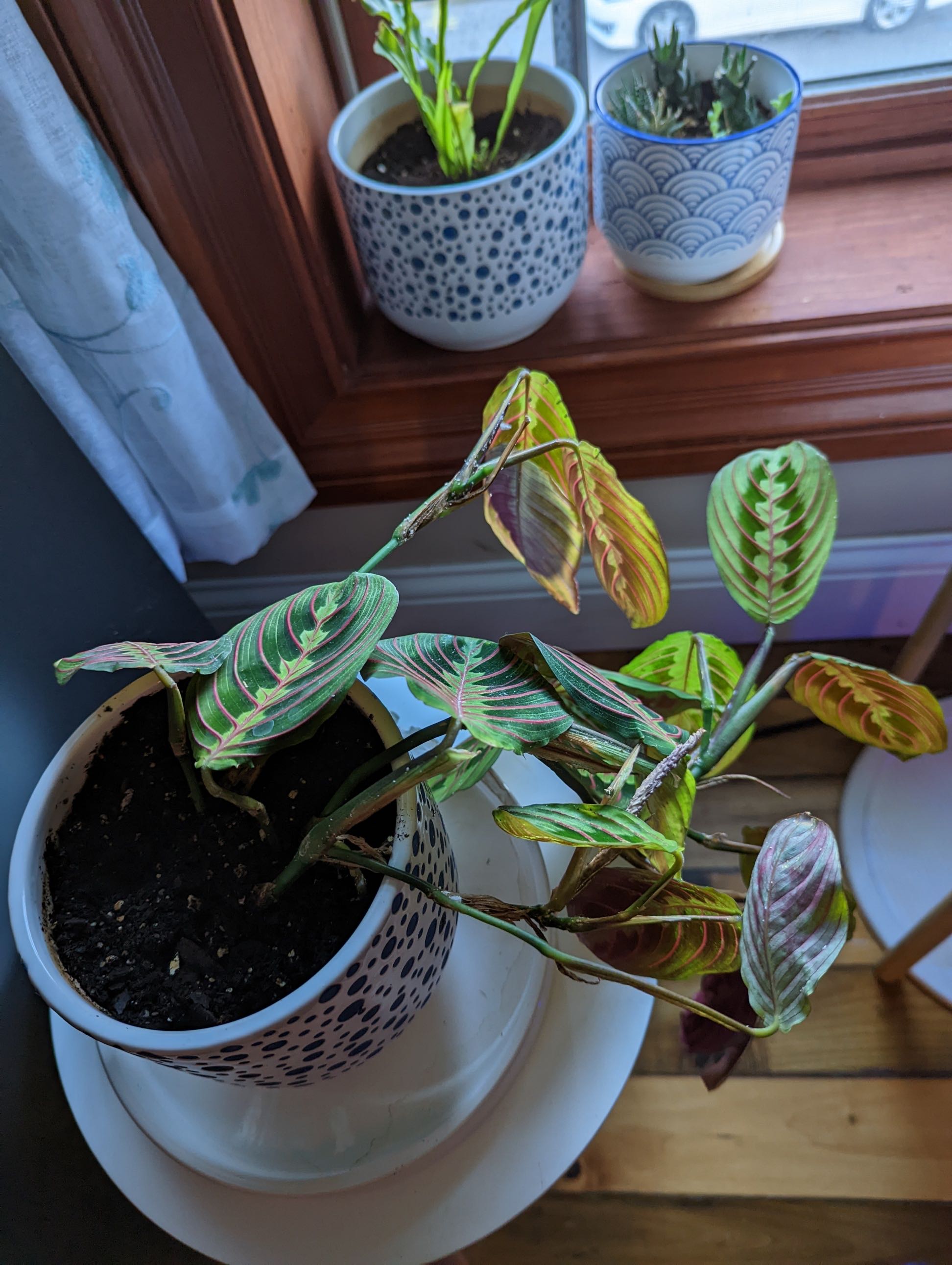 Photo from the post