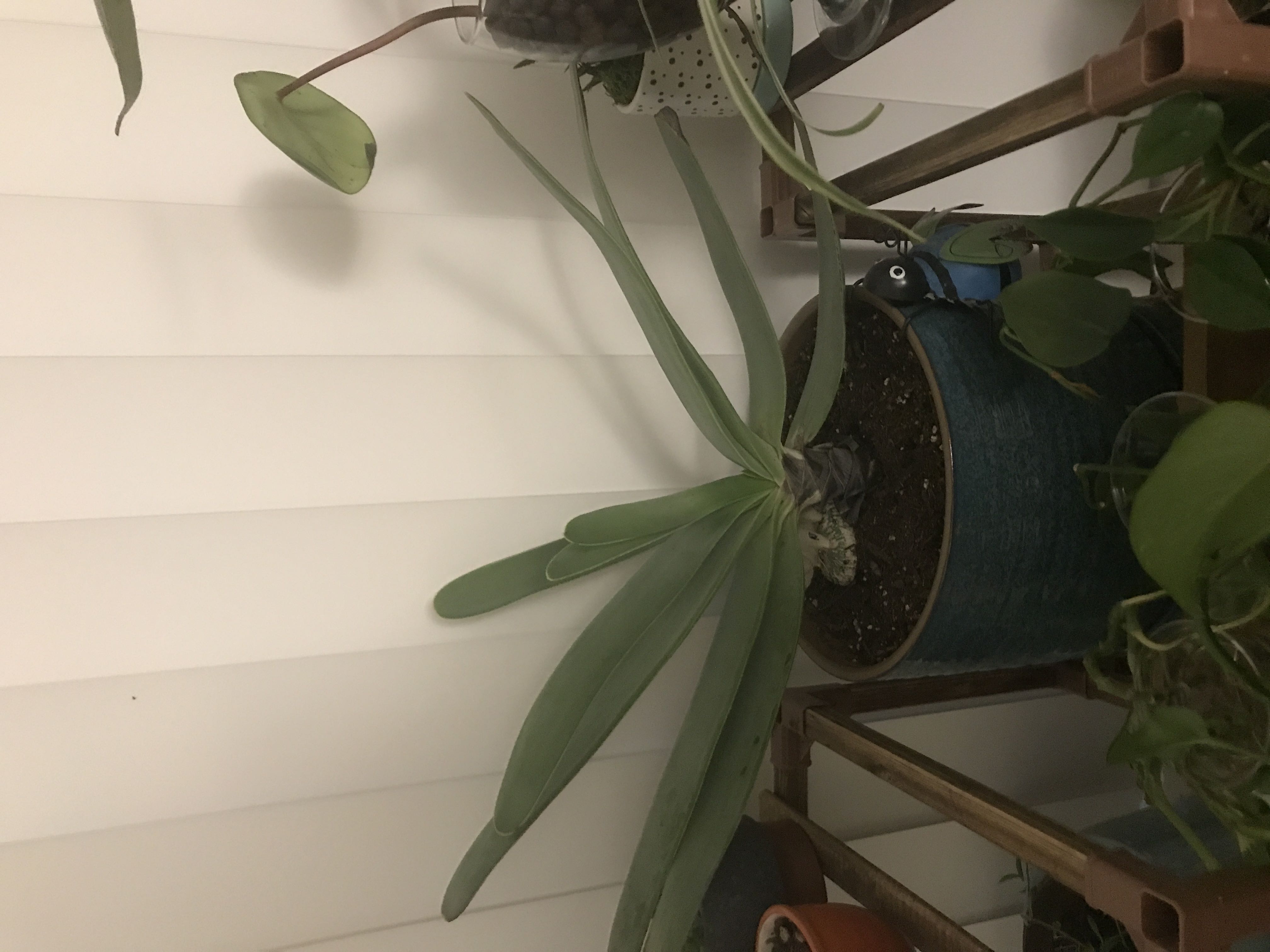 Photo from the post
