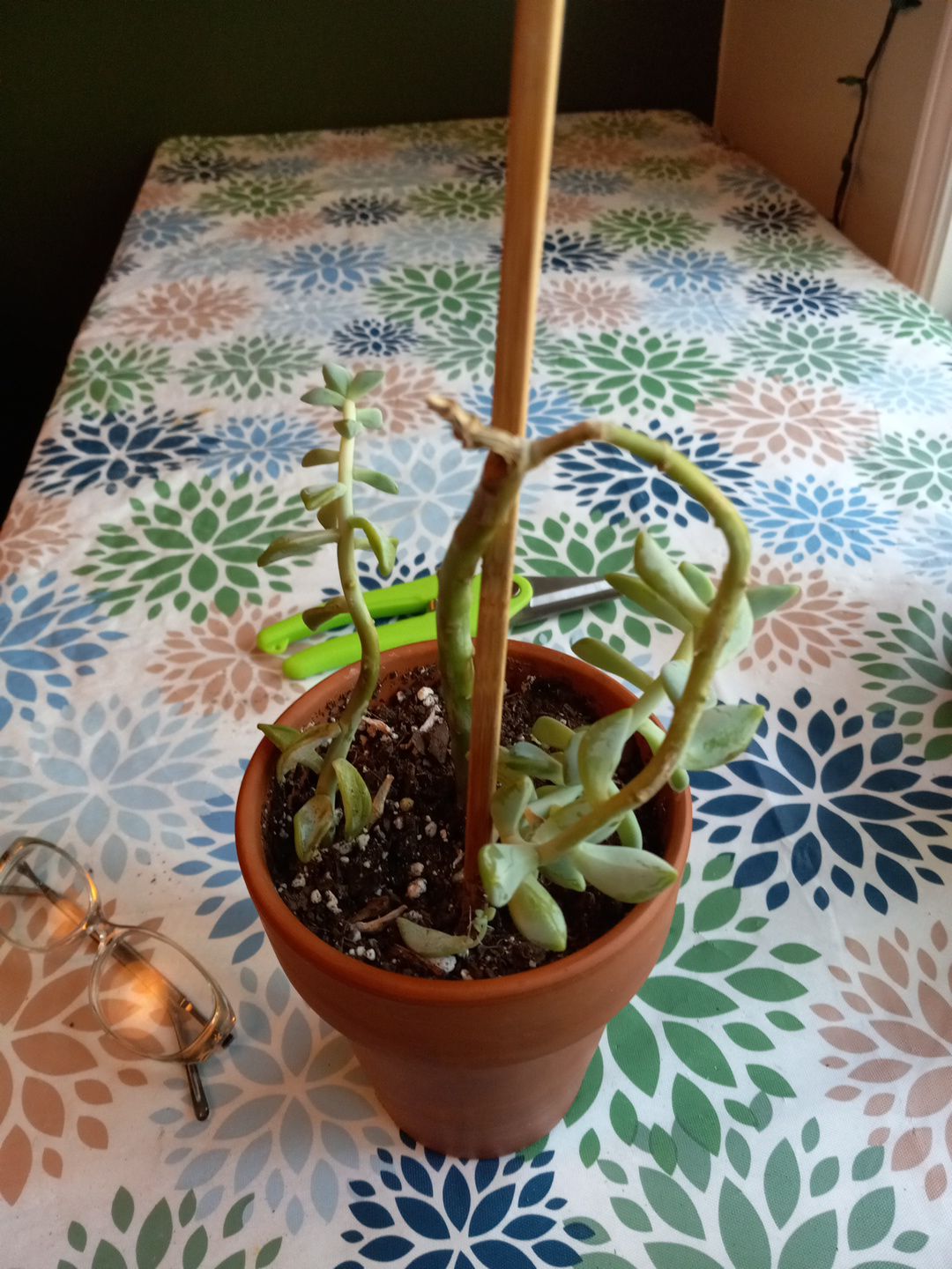 Photo from the post
