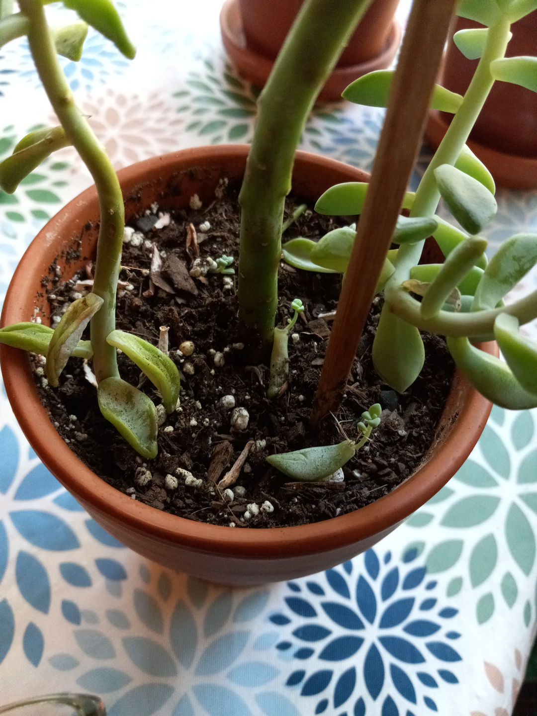 Photo from the post