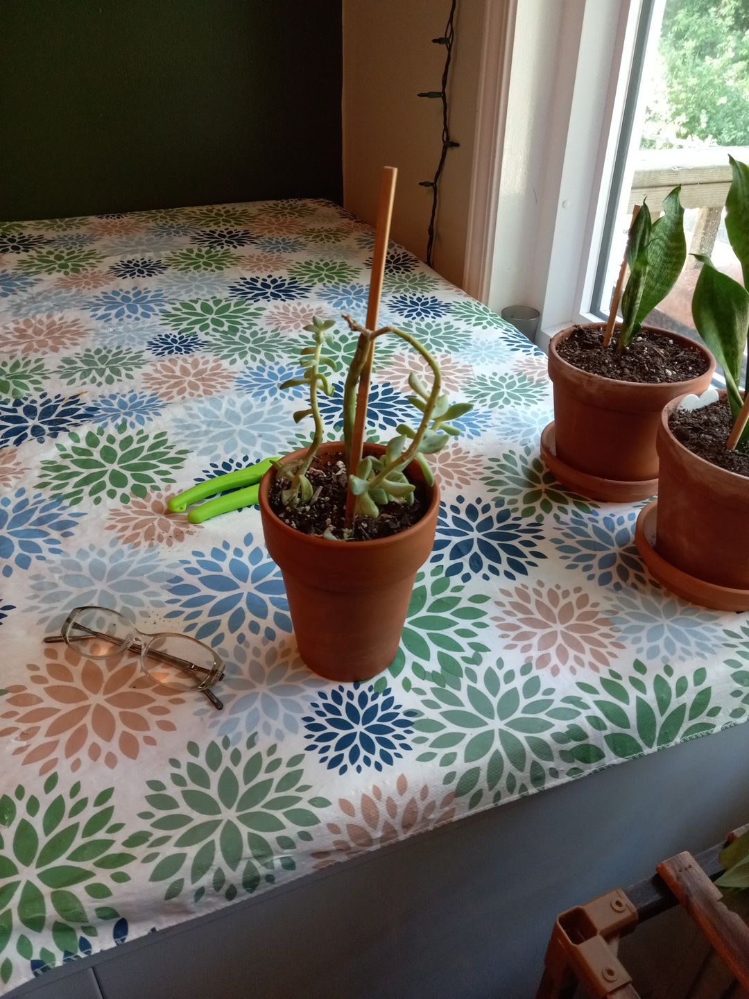 Photo from the post