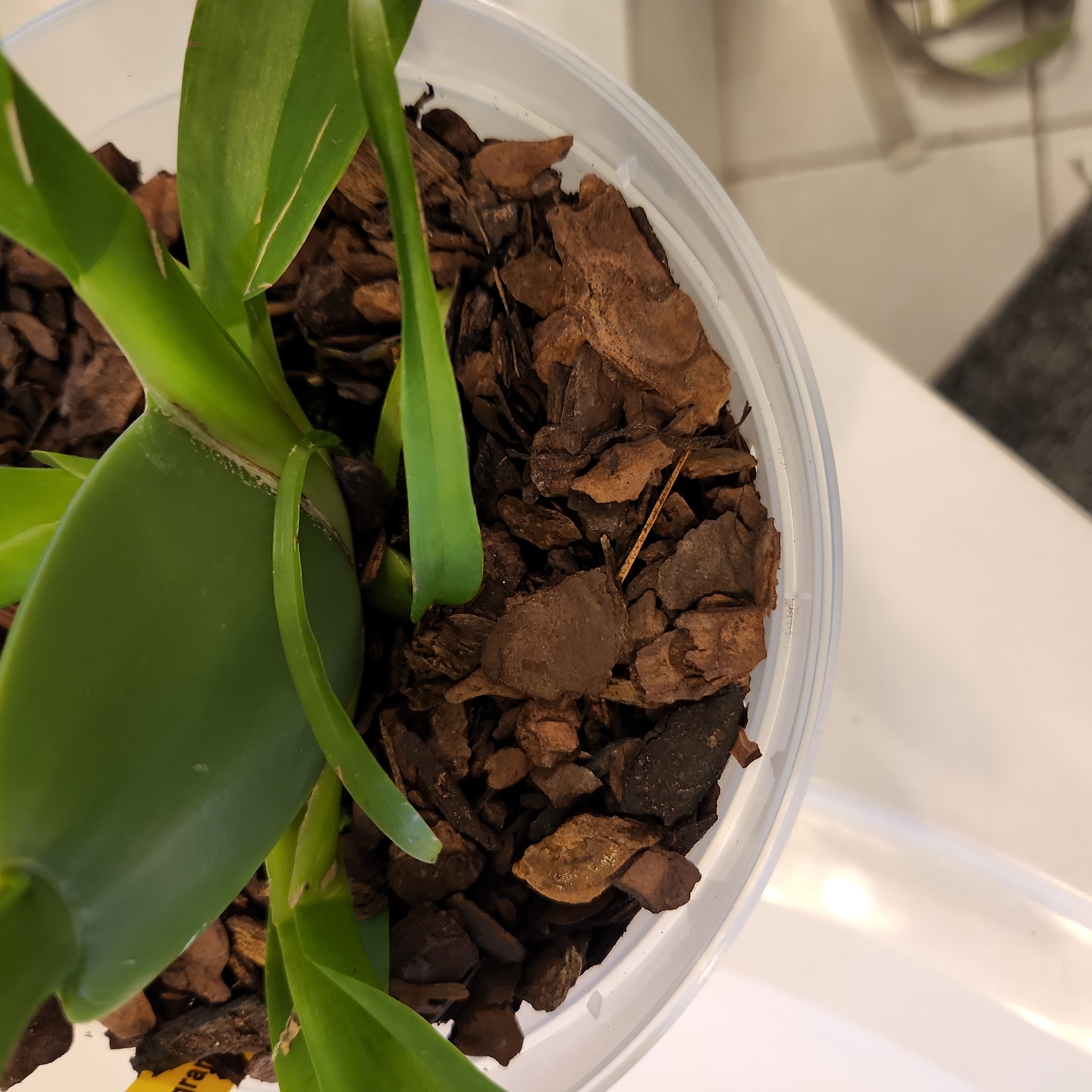 Photo from the post