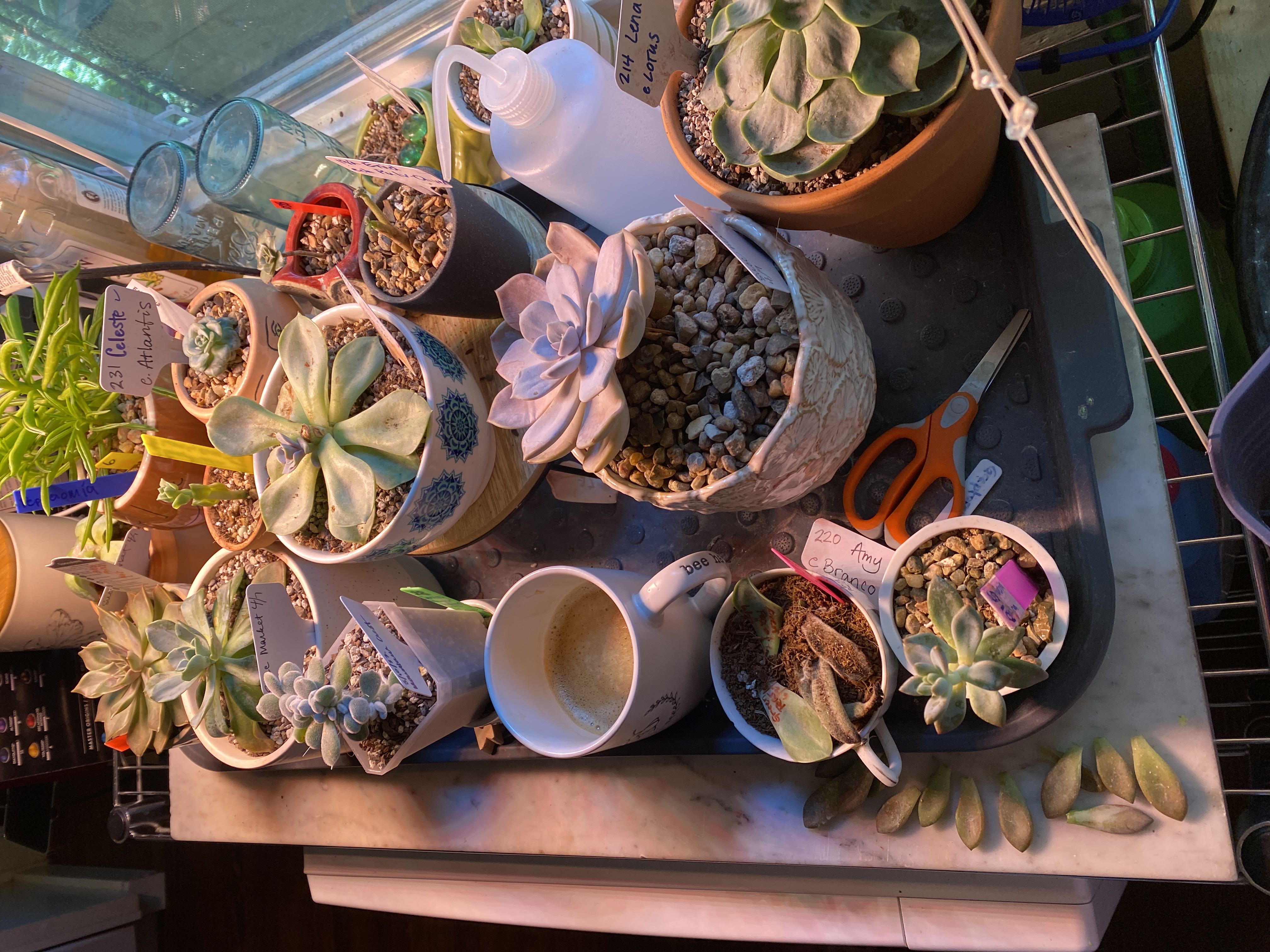 Photo from the post