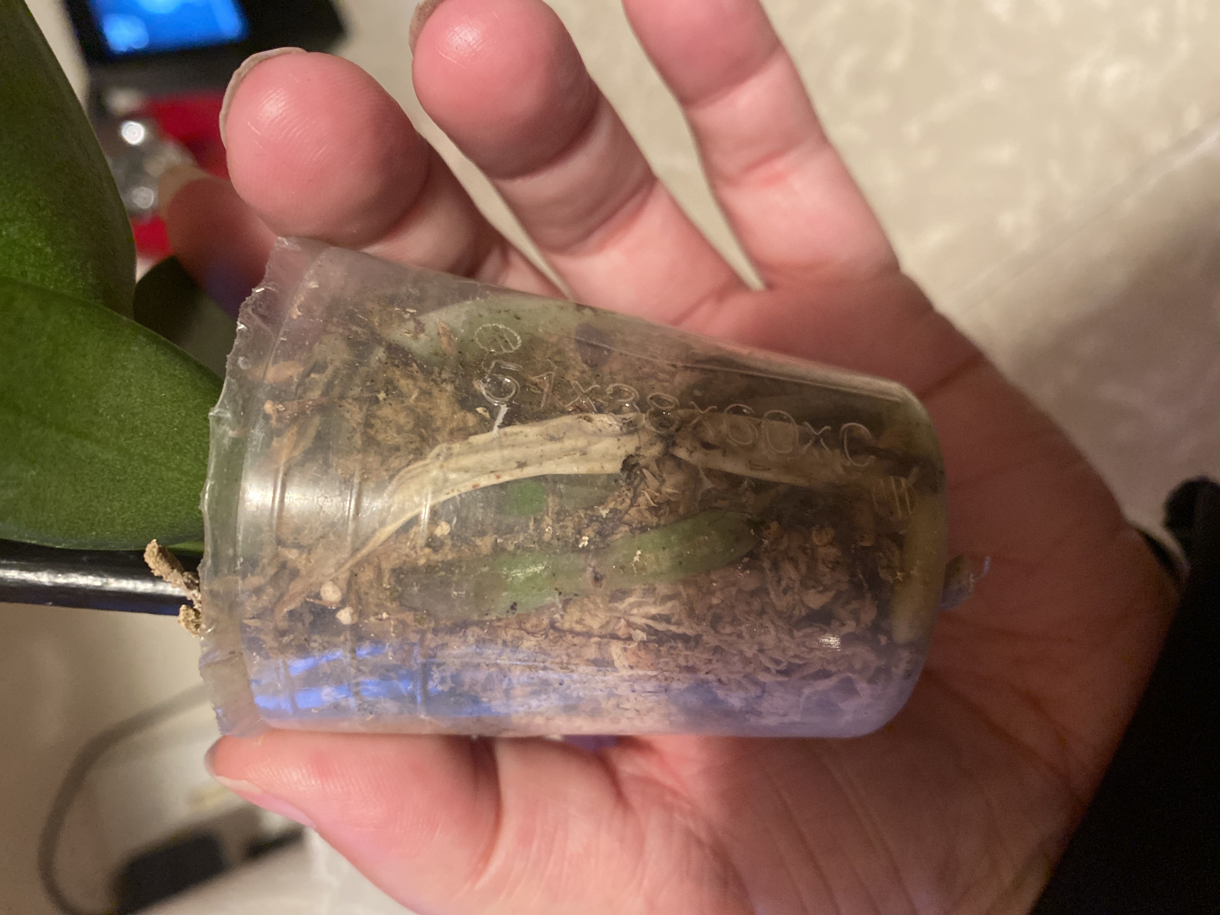 Photo from the post