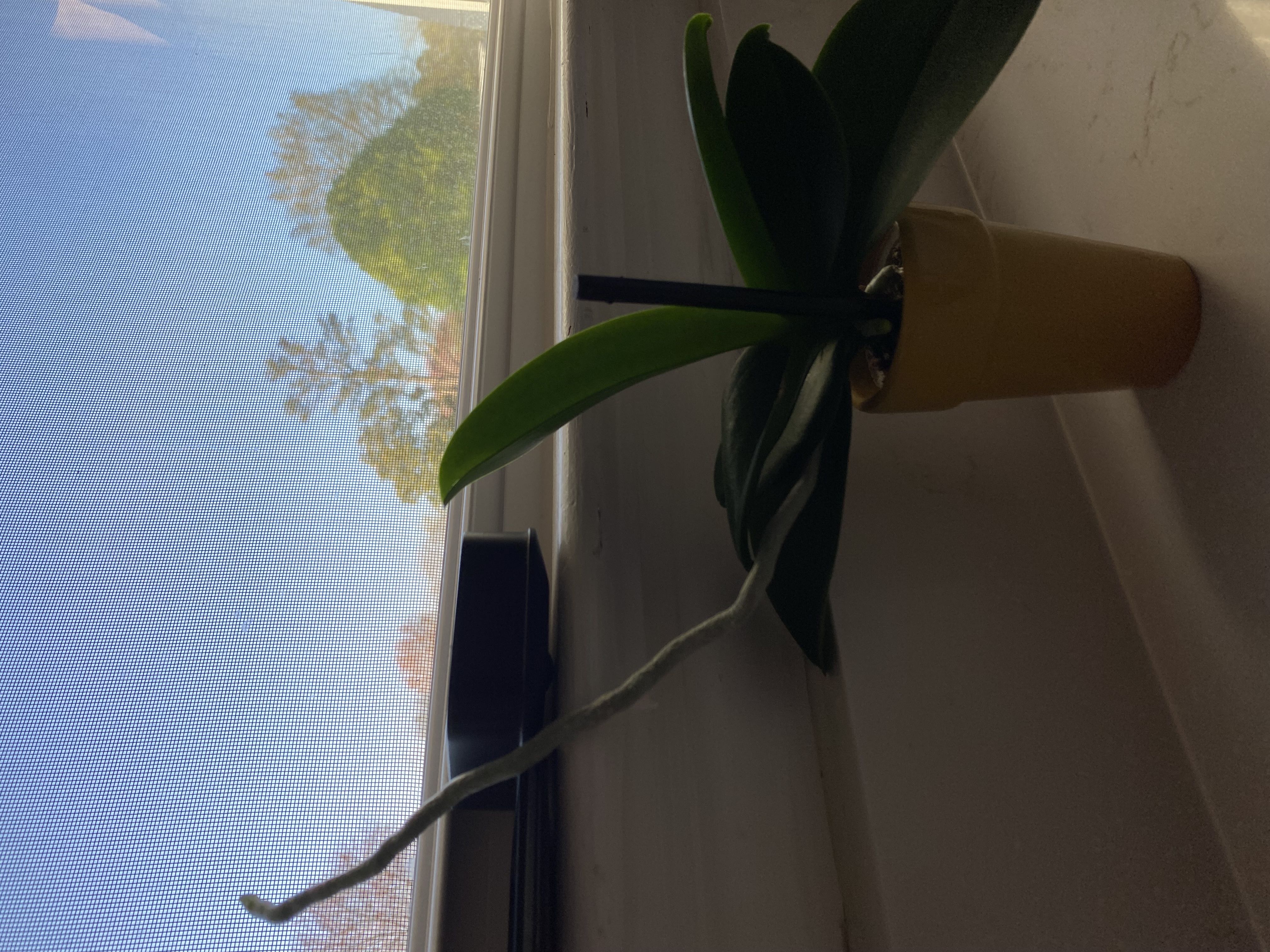 Photo from the post