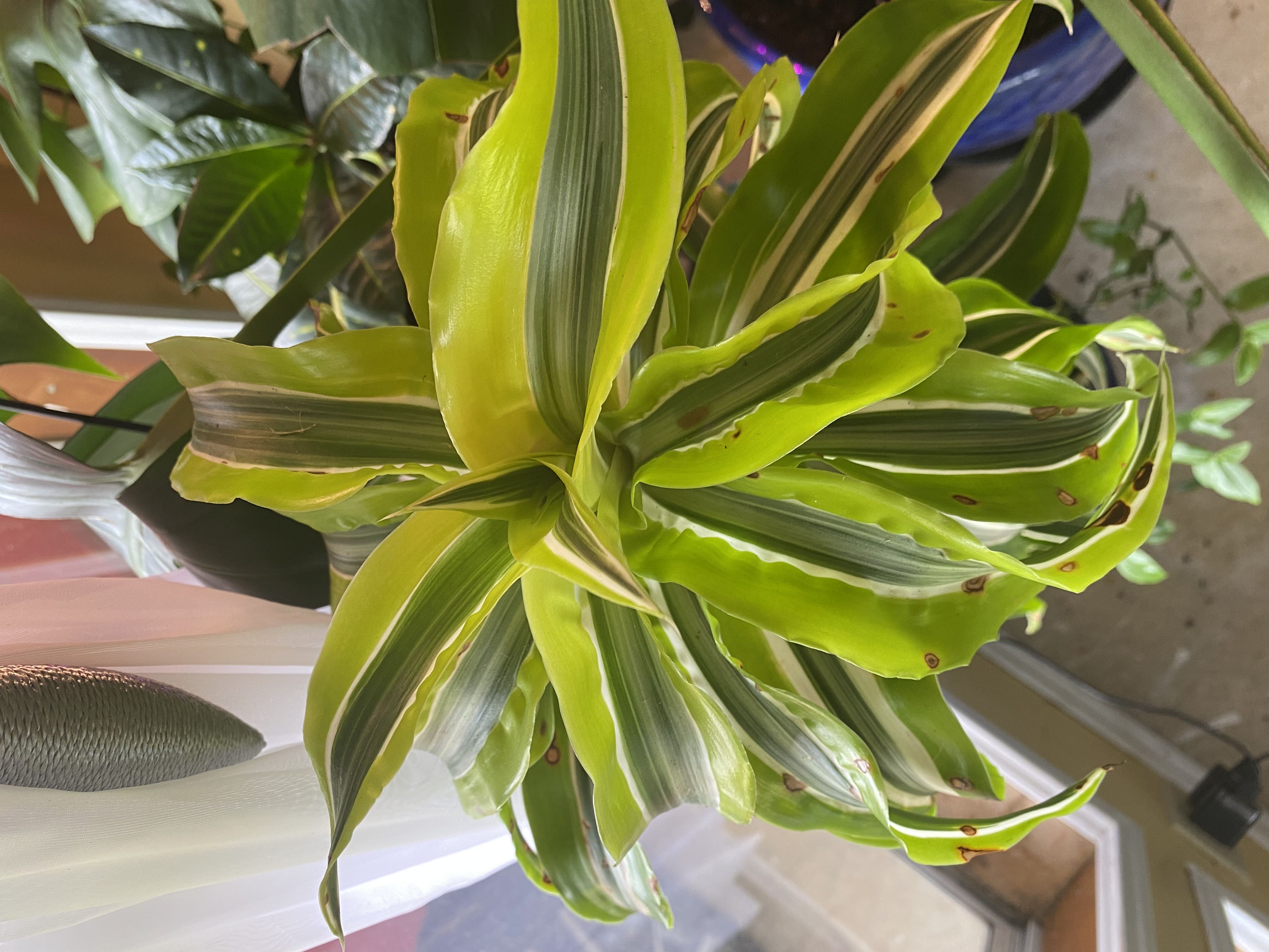 Photo from the post