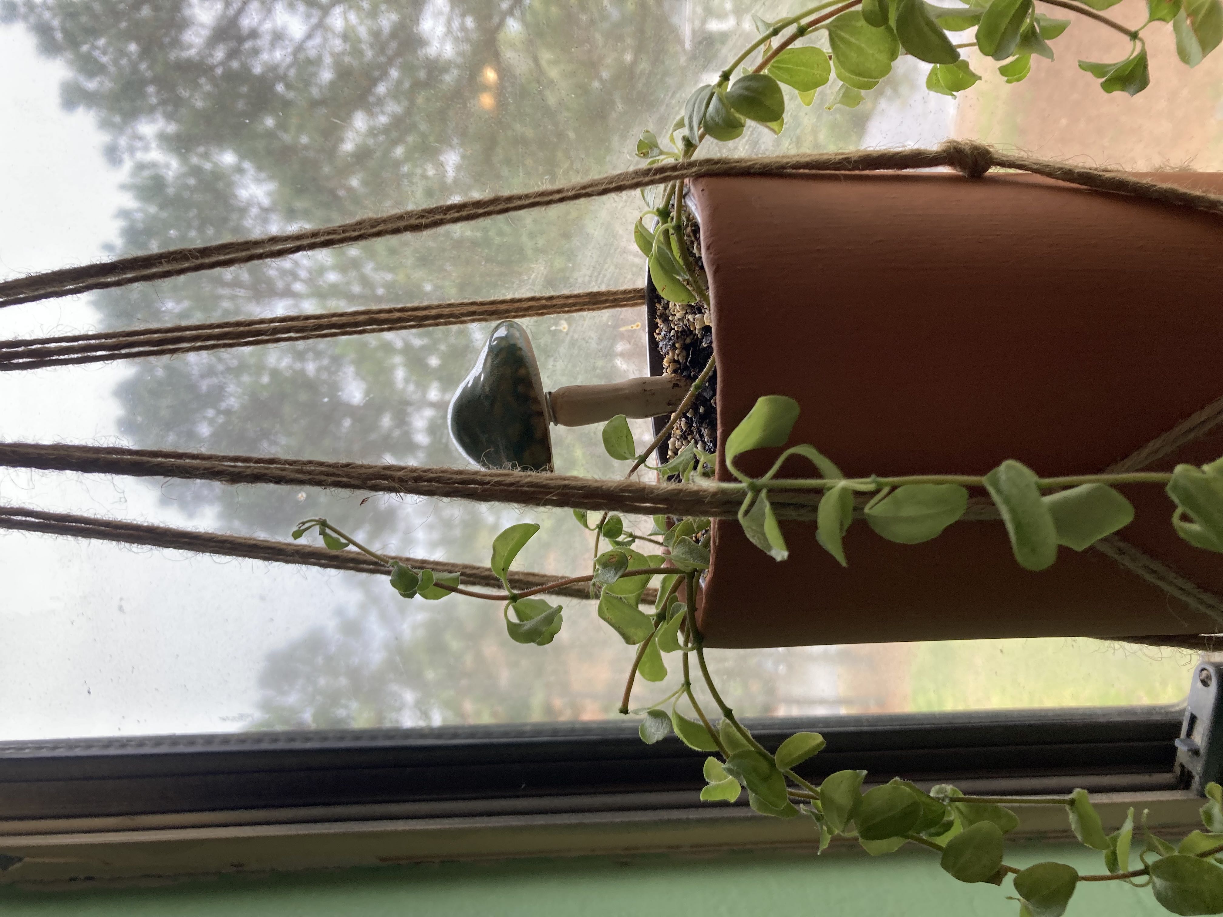 Photo from the post