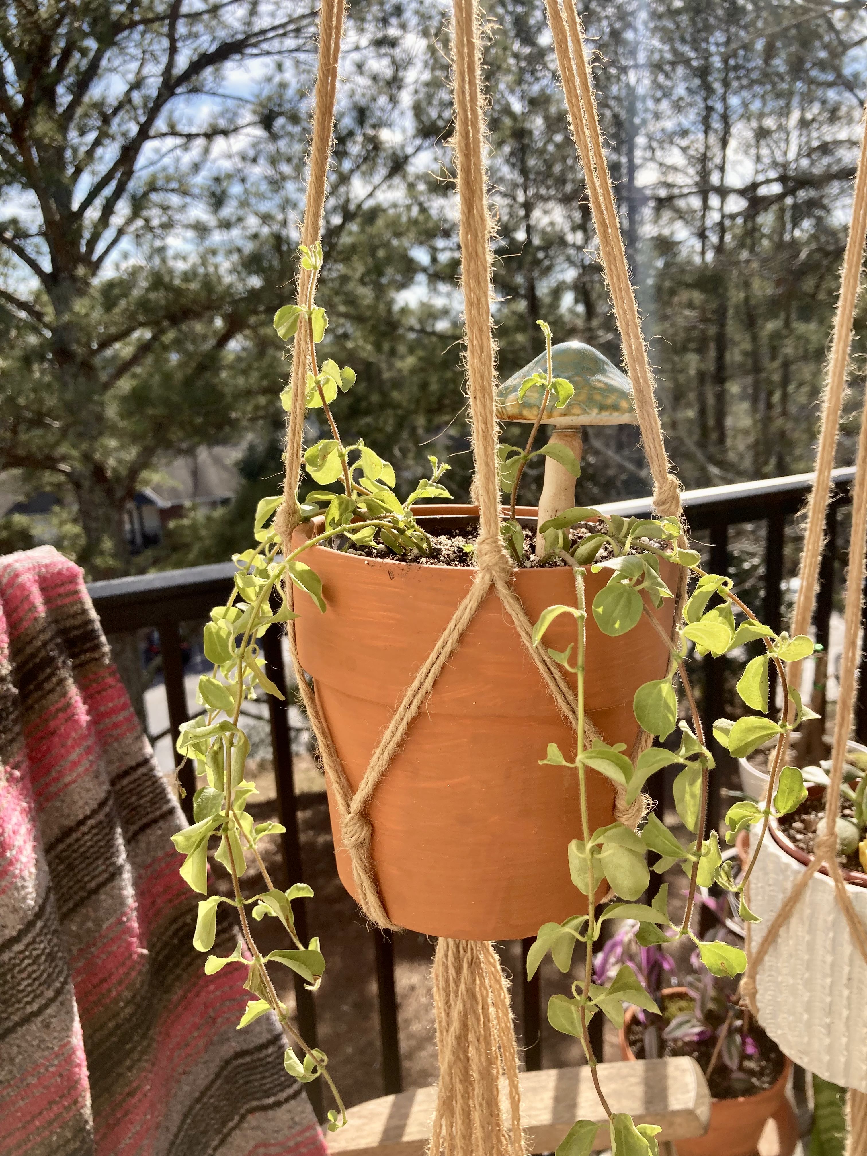 Photo from the post