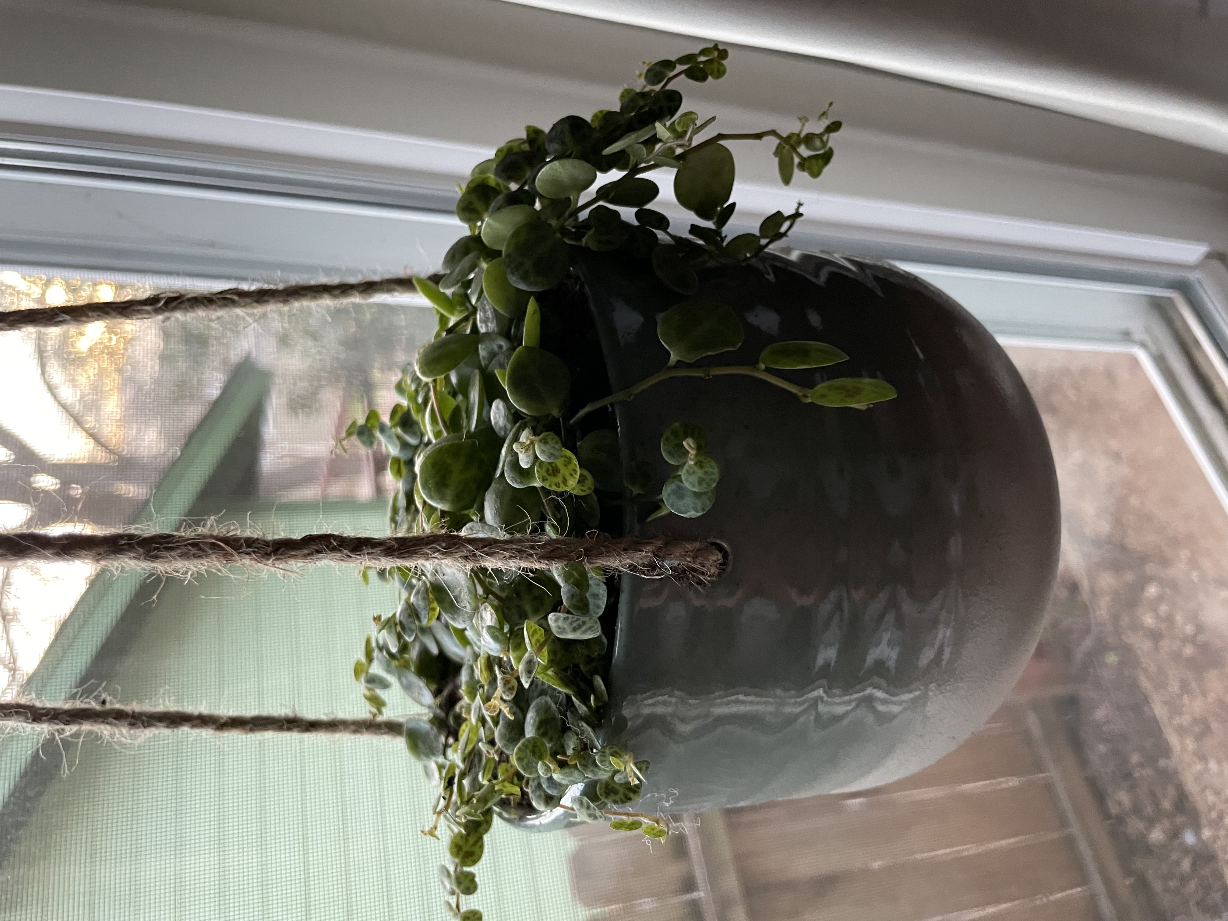 Photo from the post