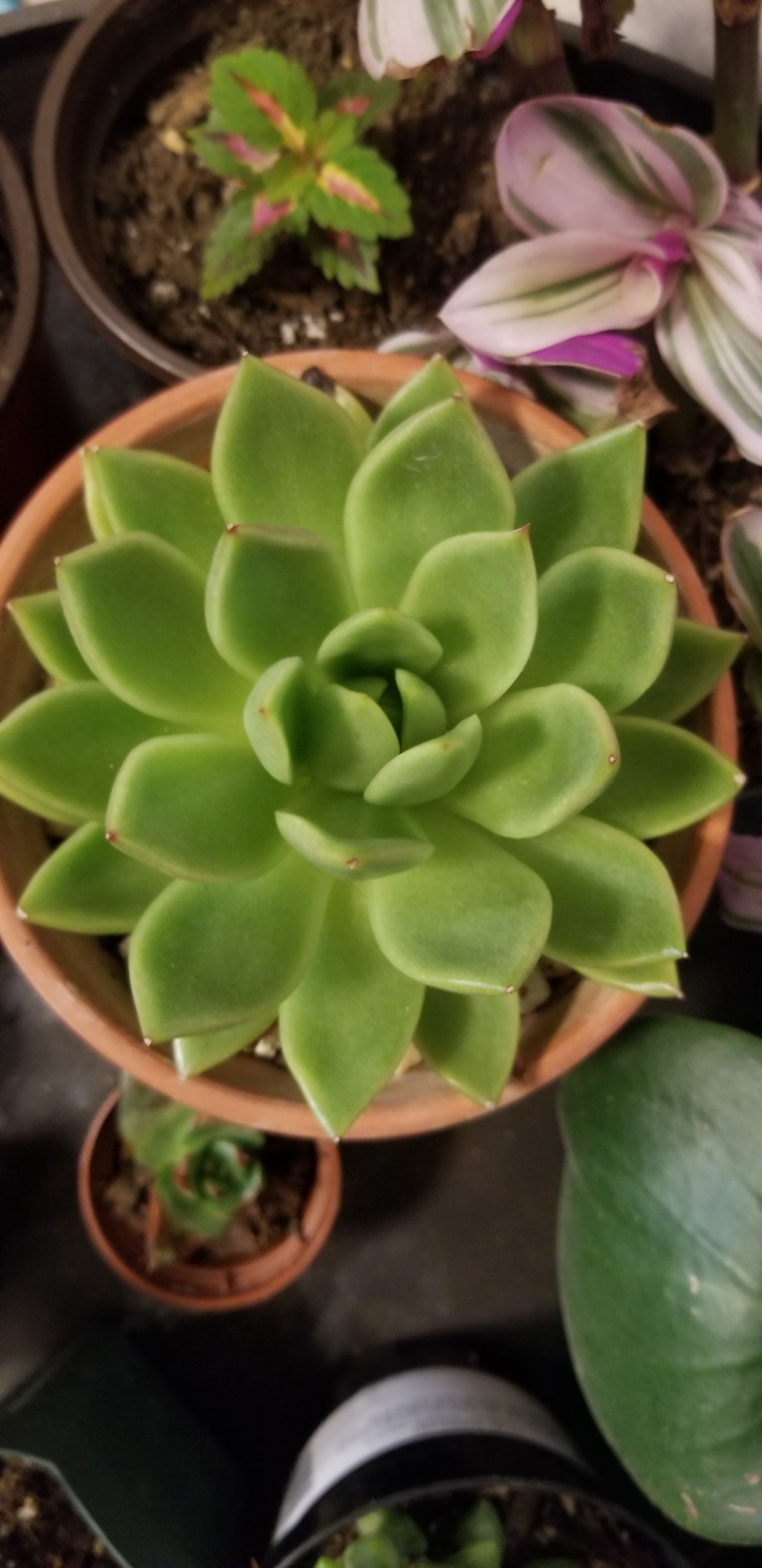 Photo from the post