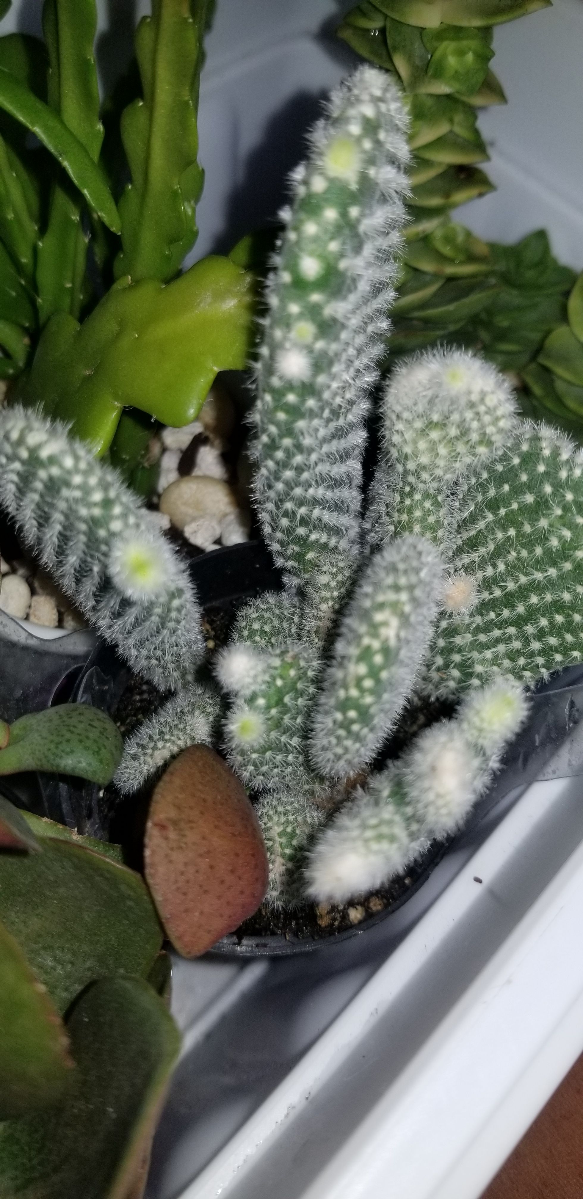 Photo from the post