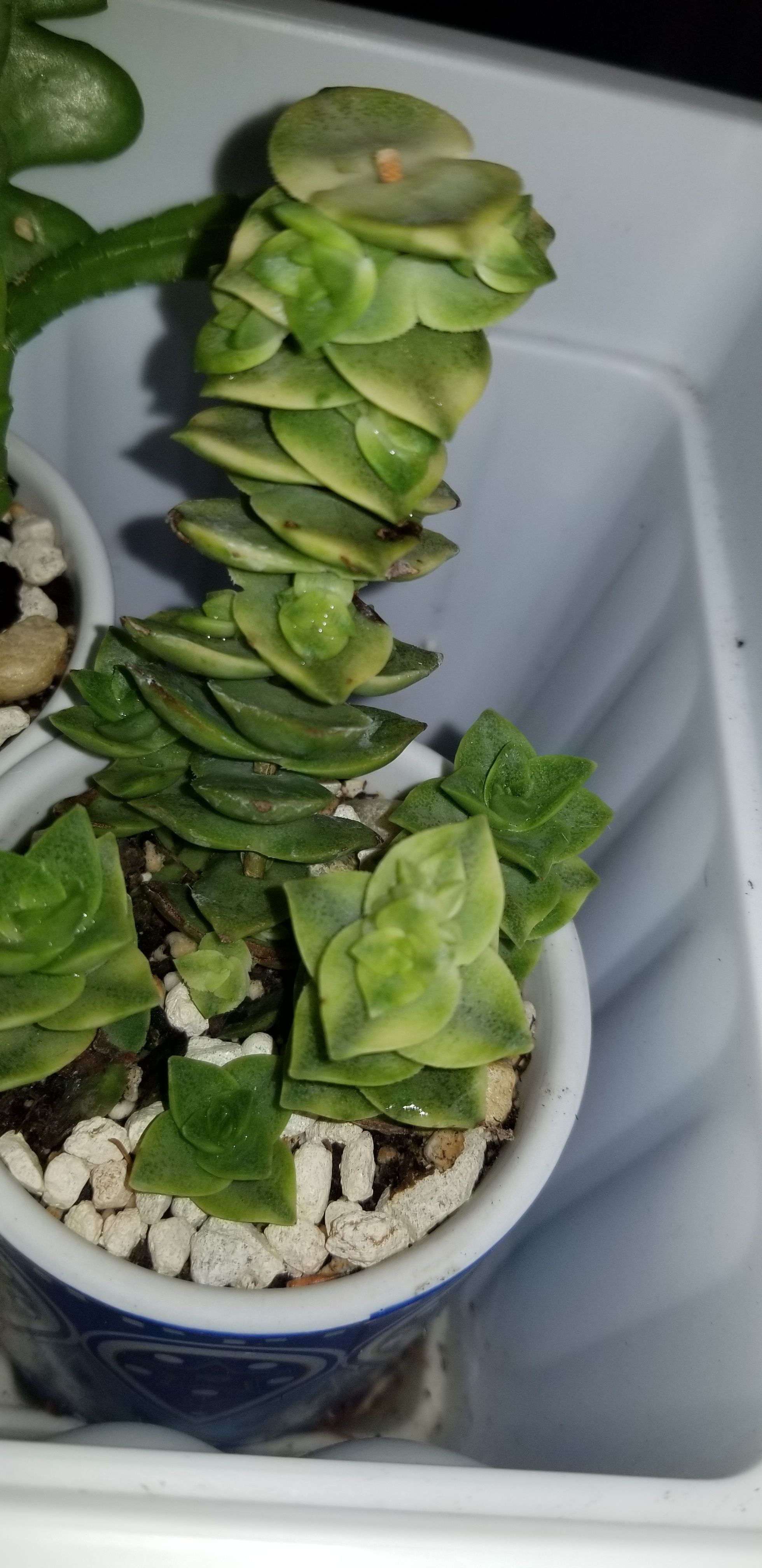 Photo from the post