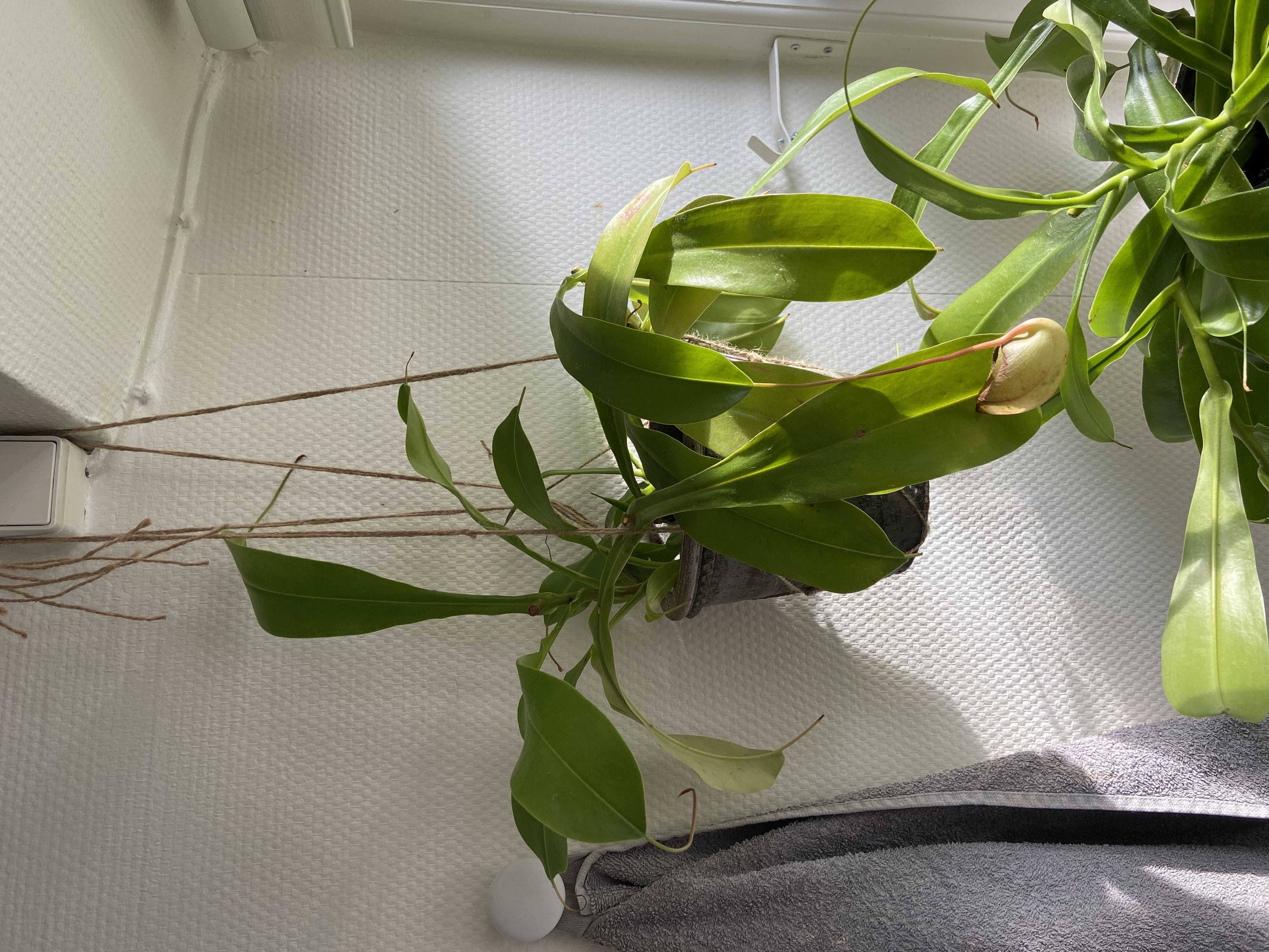 Photo from the post