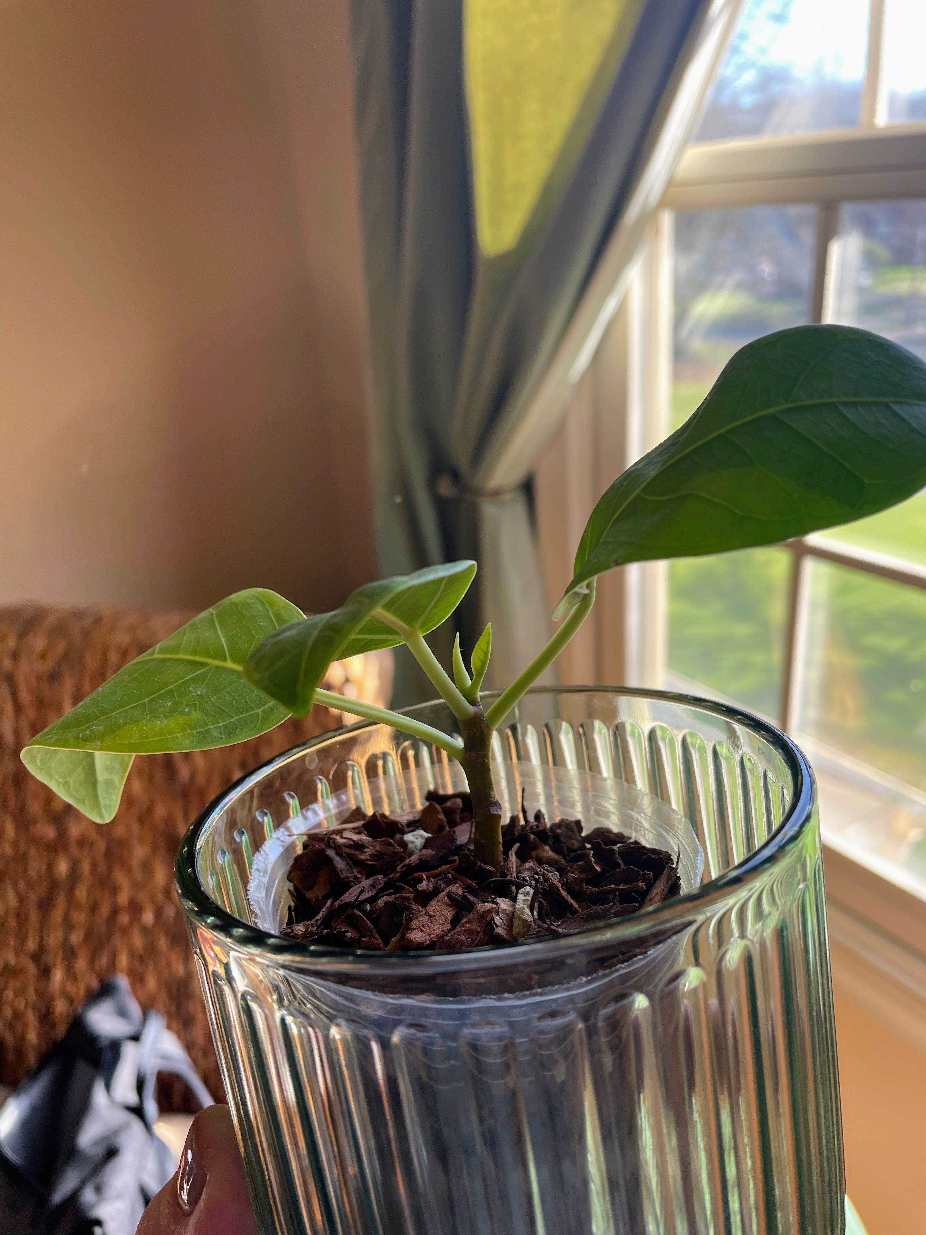Photo from the post