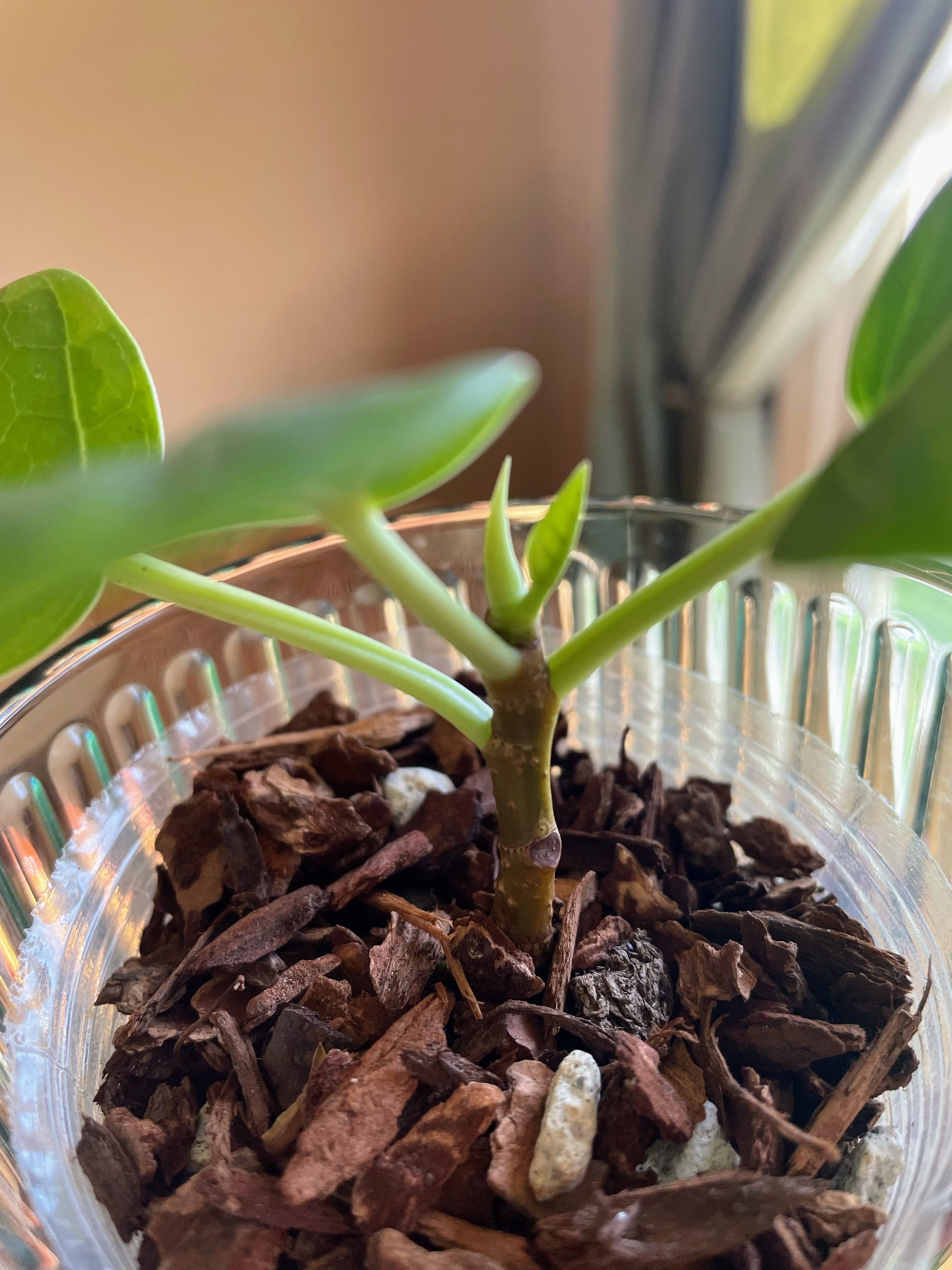 Photo from the post