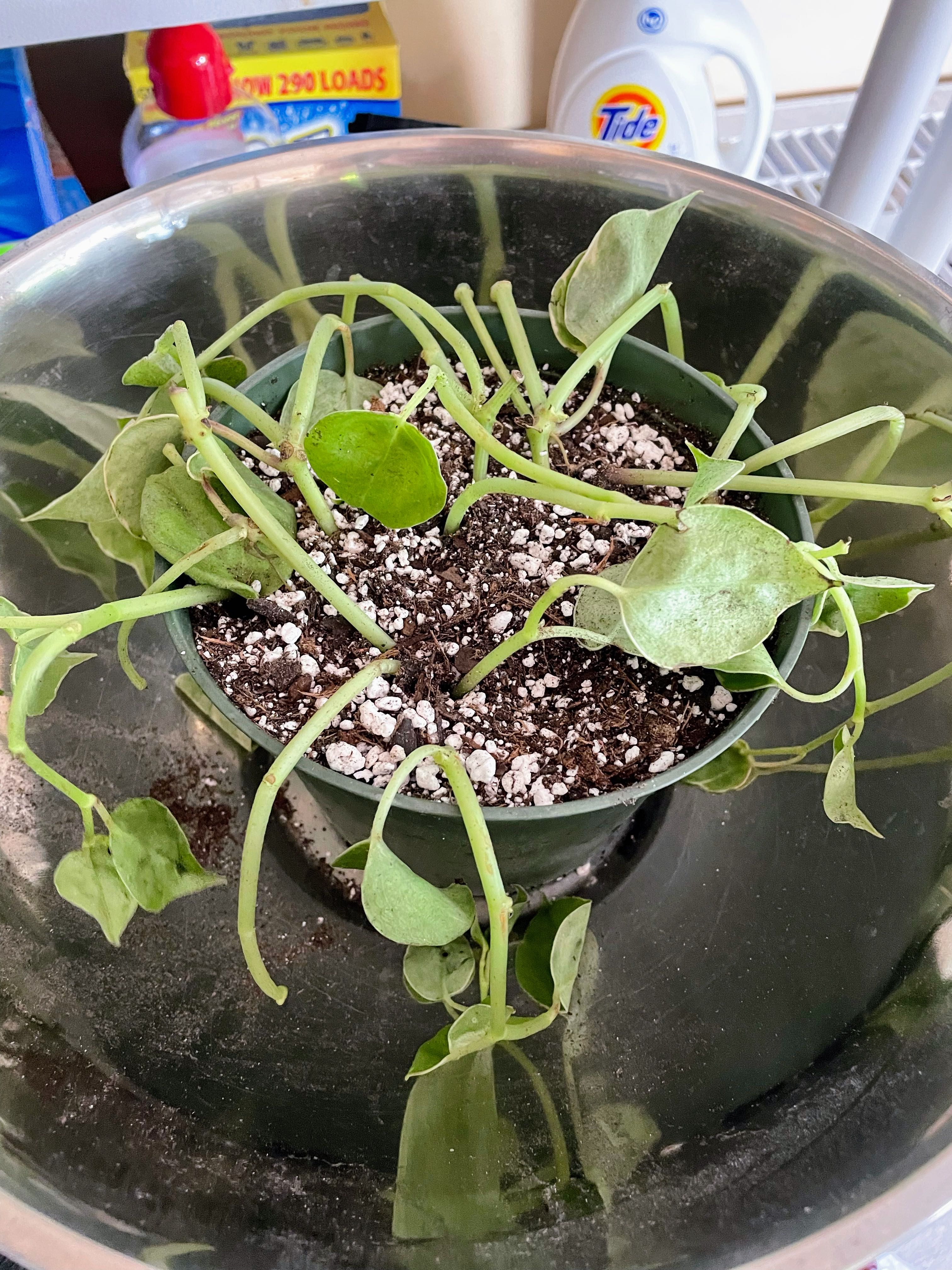 Photo from the post