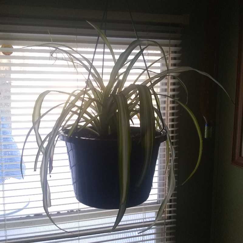 Photo from the post
