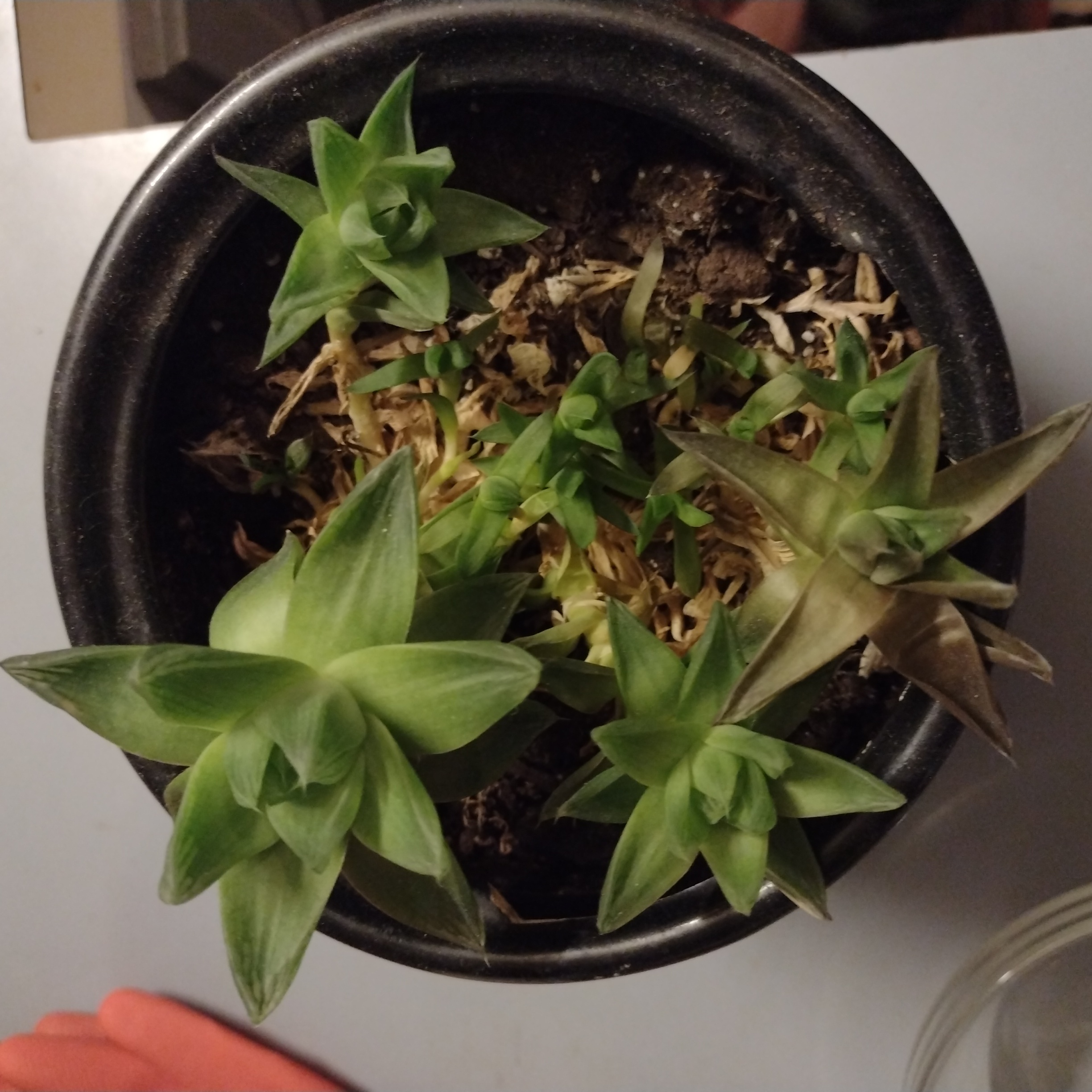 Photo from the post