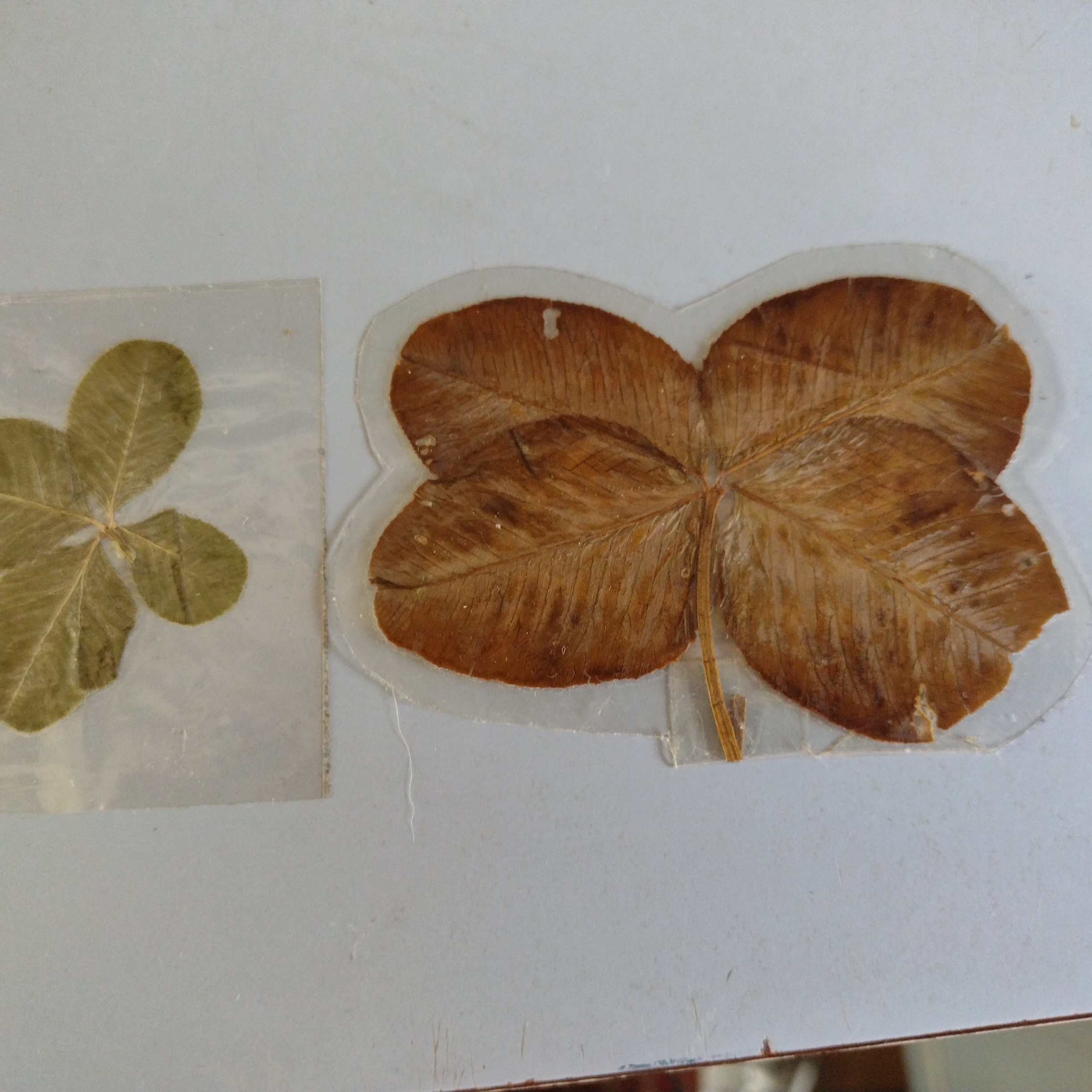 Photo from the post