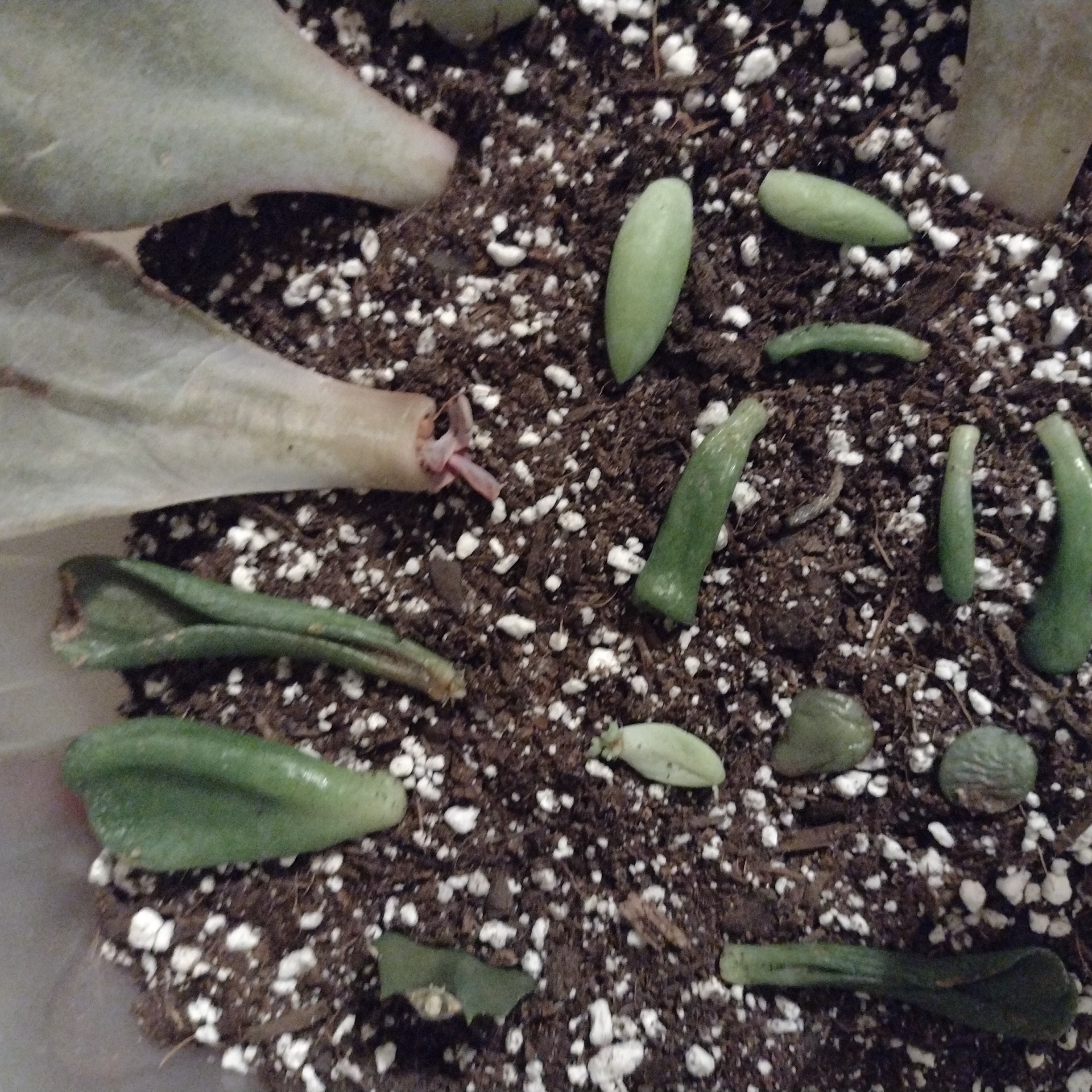 Photo from the post