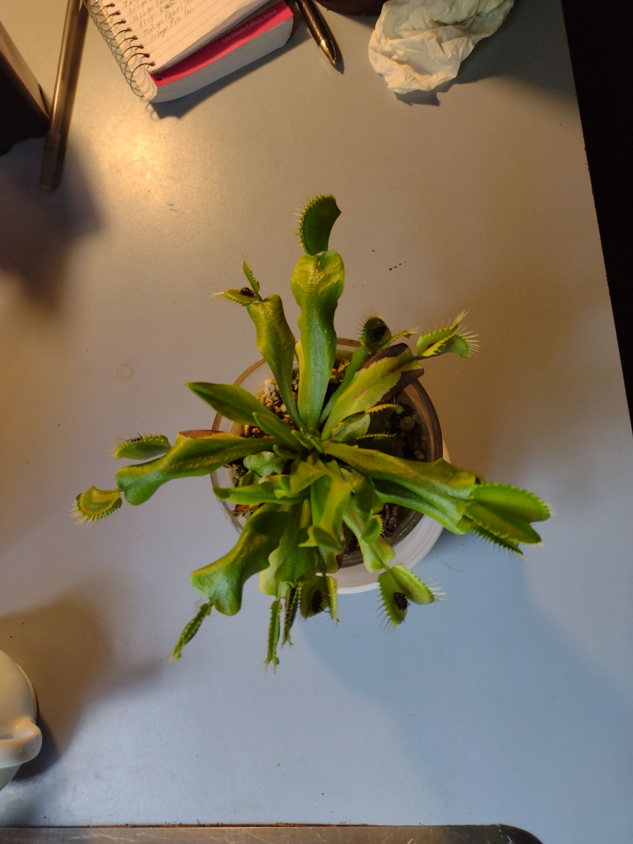 Photo from the post