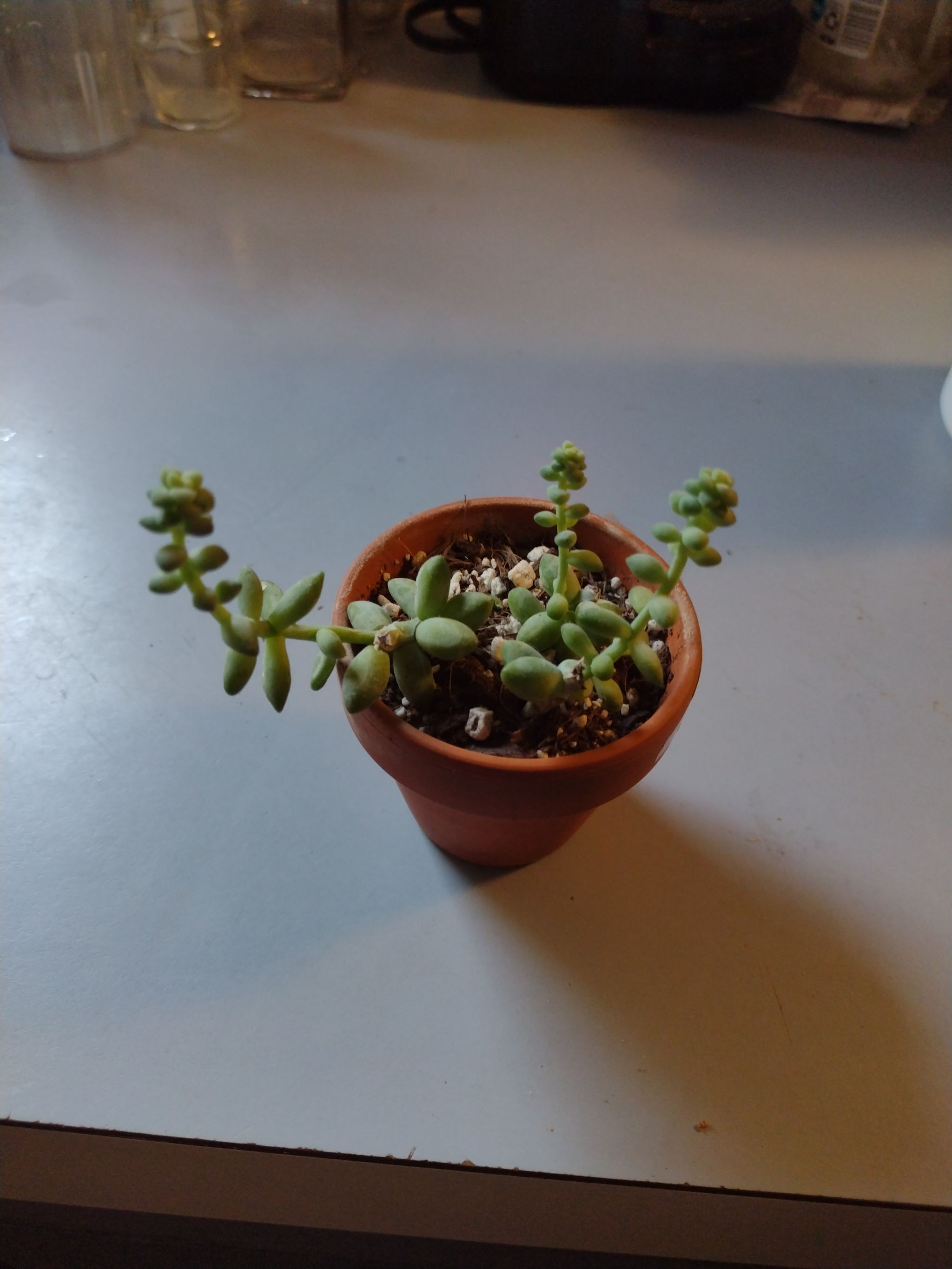 Photo from the post