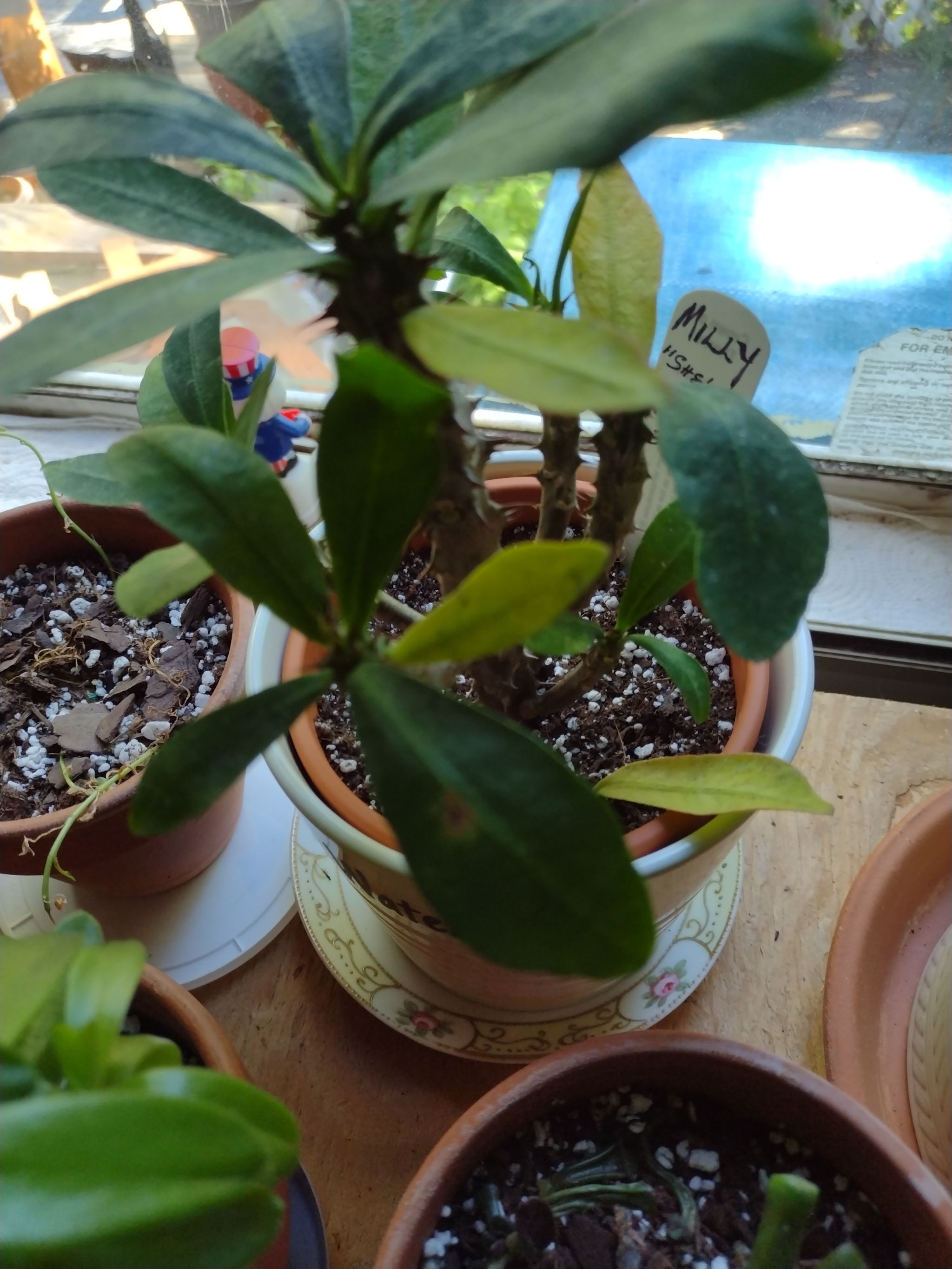 Photo from the post