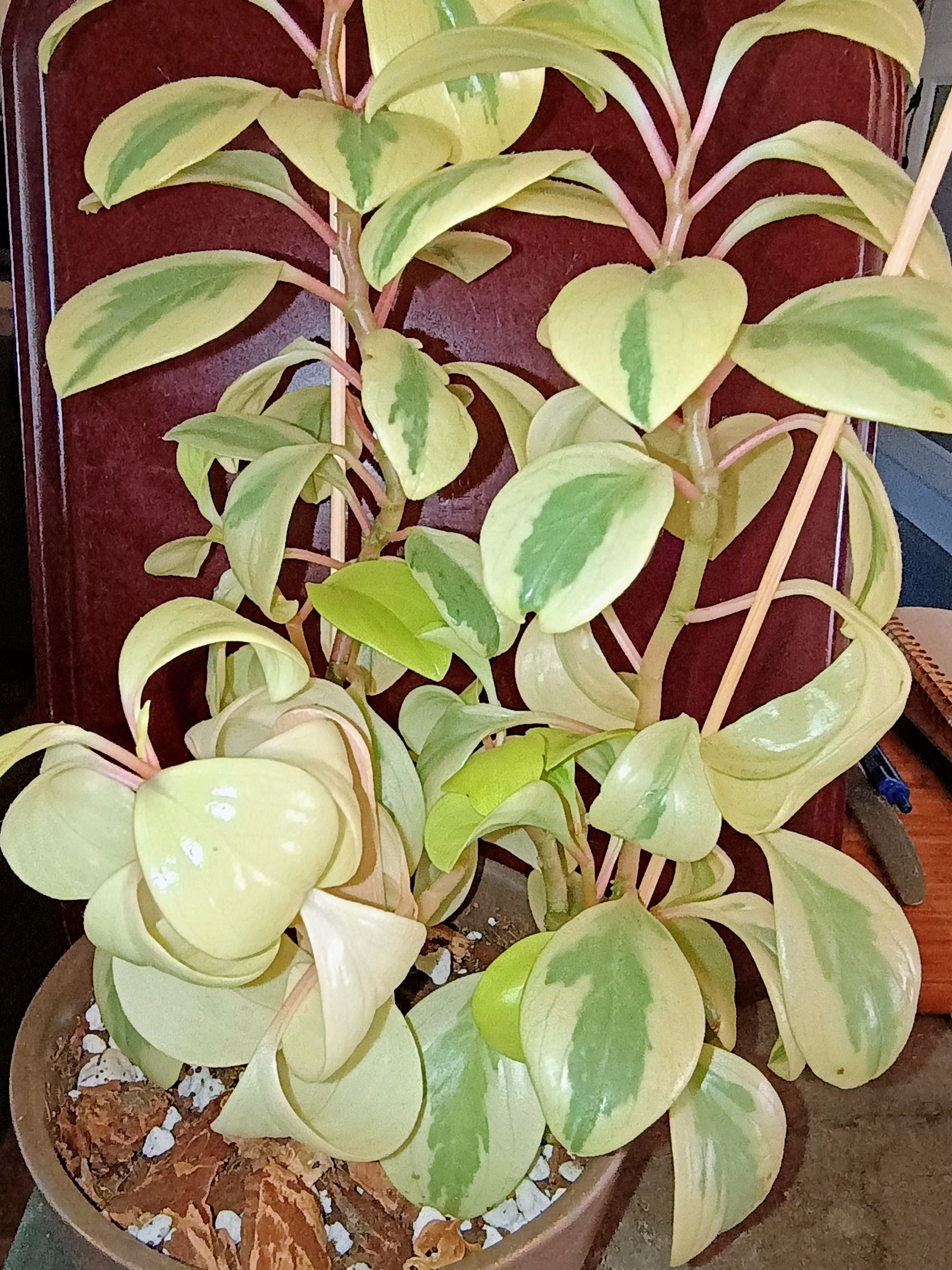 Photo from the post