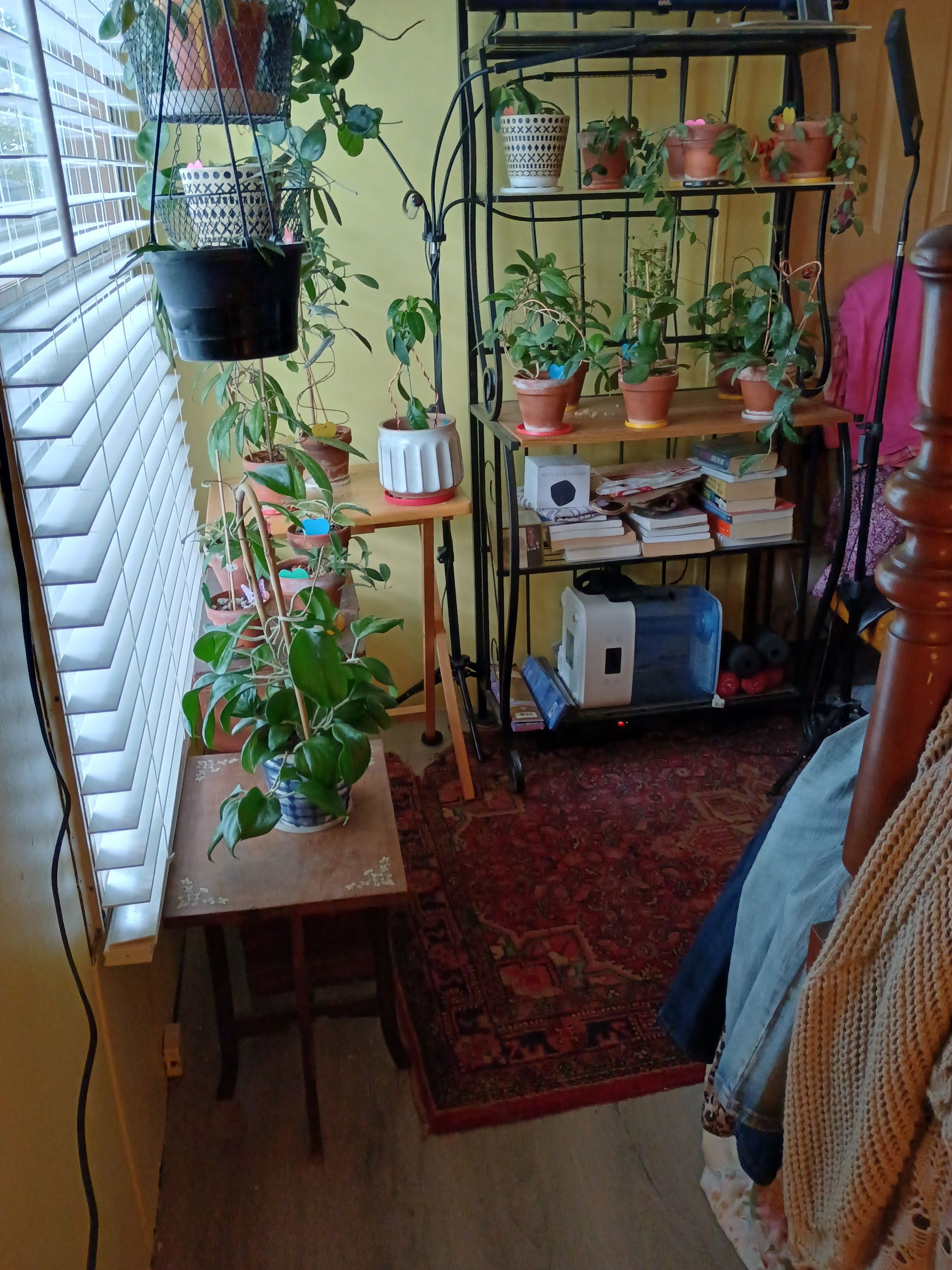 Photo from the post