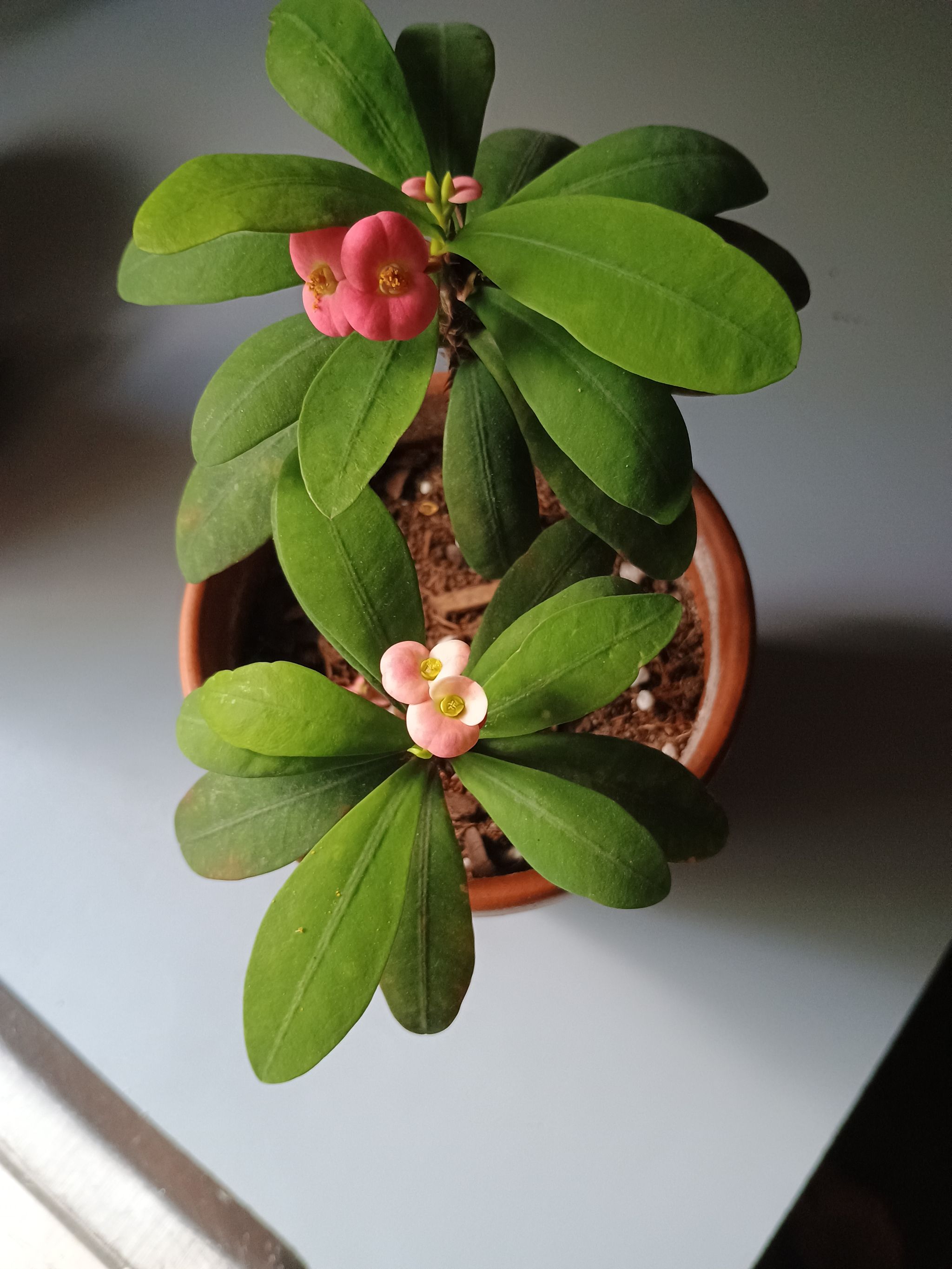 Photo from the post